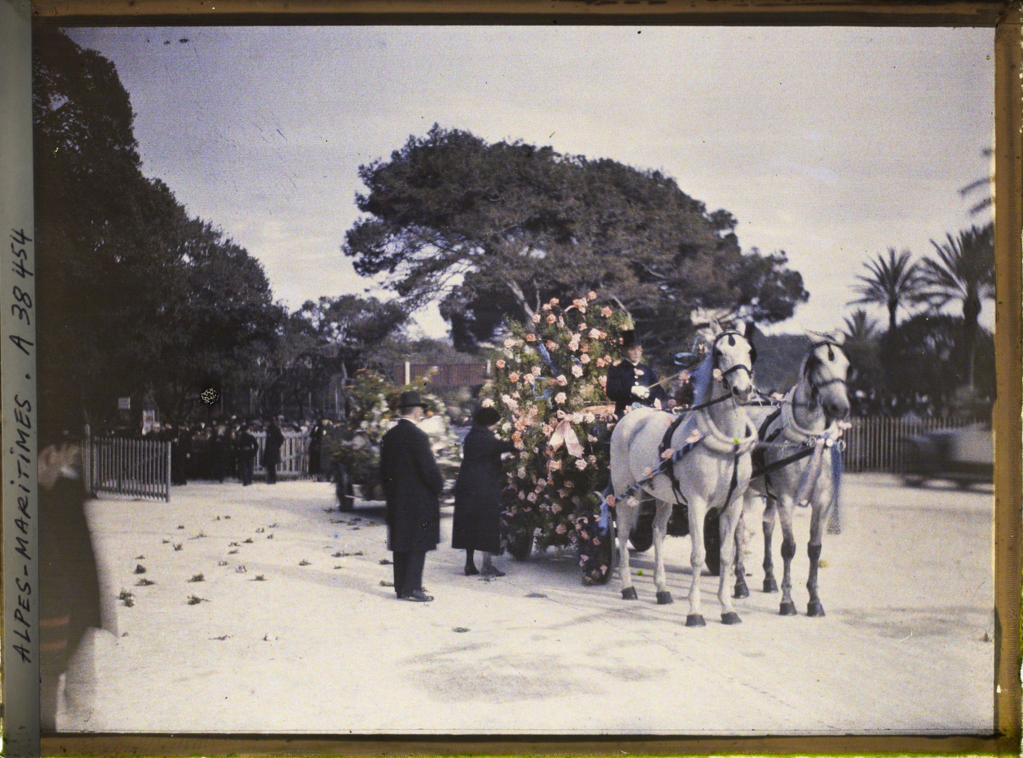 Image représentant Le carnaval, la fête des fleurs