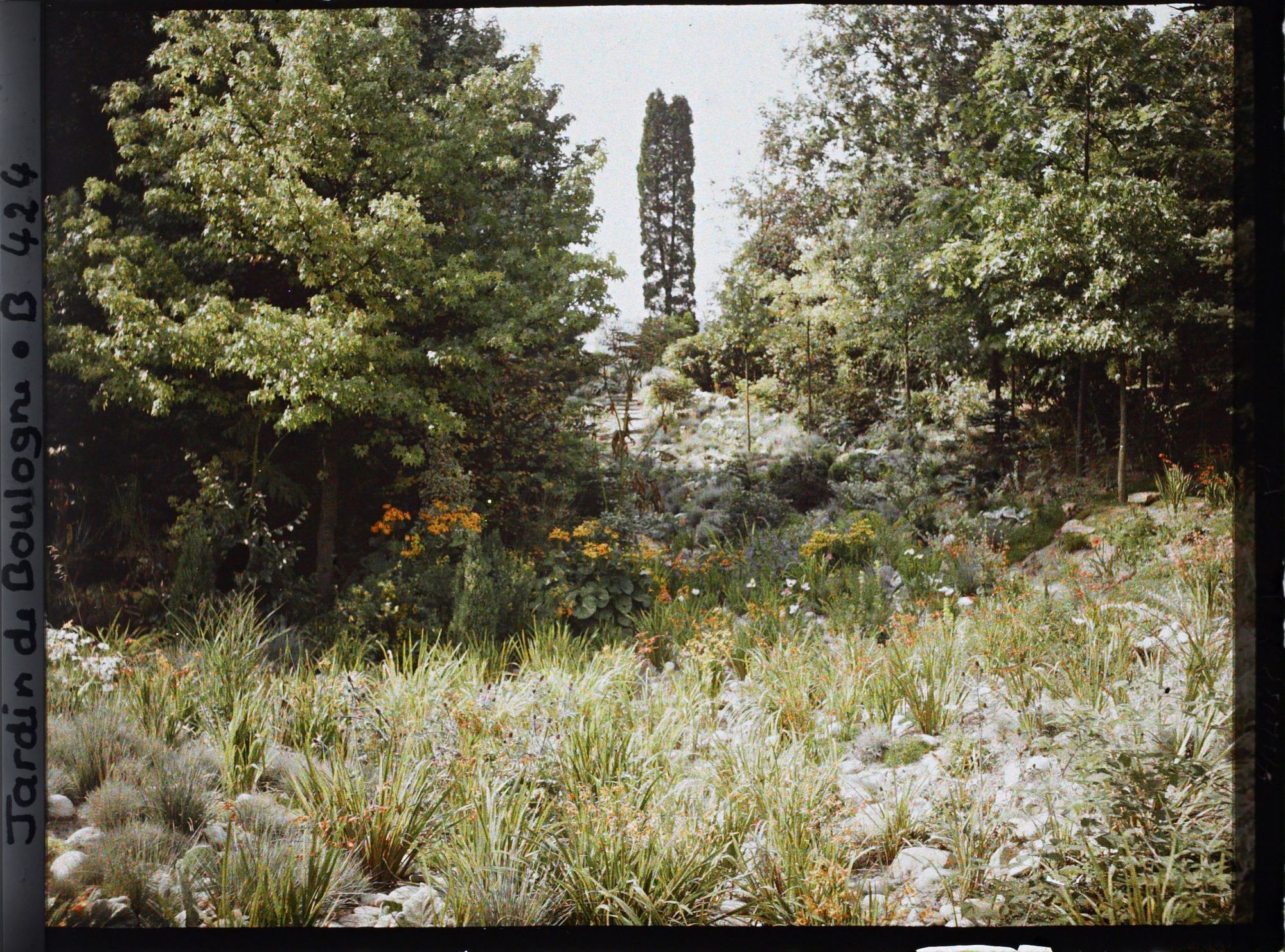Image représentant Espace pierreux, fleuri et bordé d'arbres, au pied d'un chemin escarpé du " jardin chinois "
