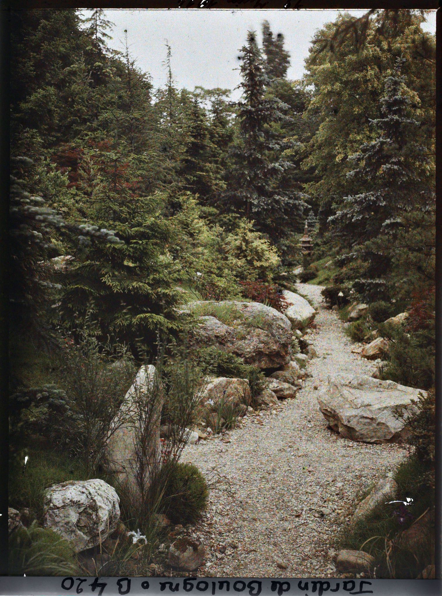 Image représentant Chemin du " village japonais " longeant le jardin français en direction du jardin anglais