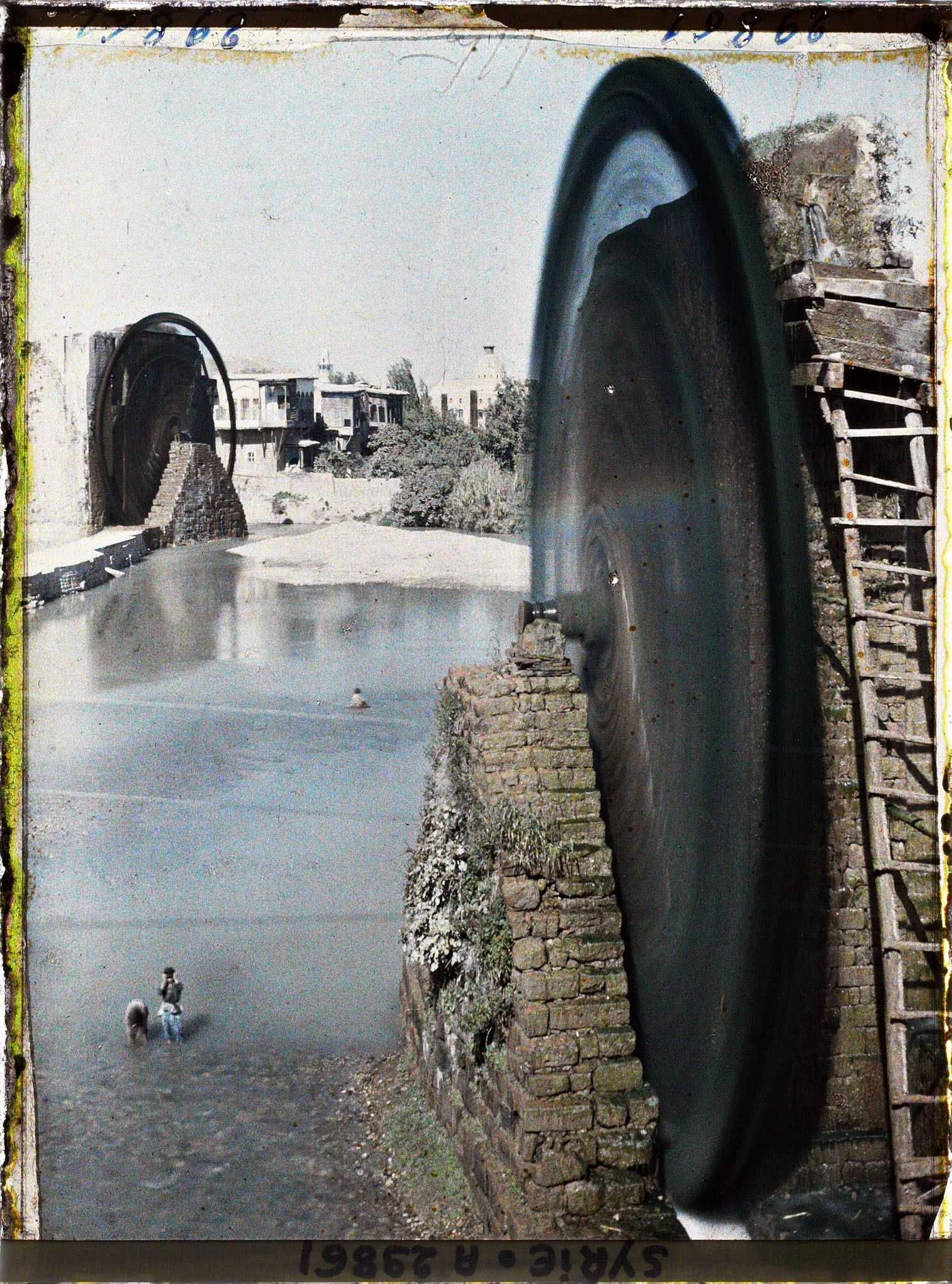 Image représentant Les Norias Mamourieh et Djezirieh