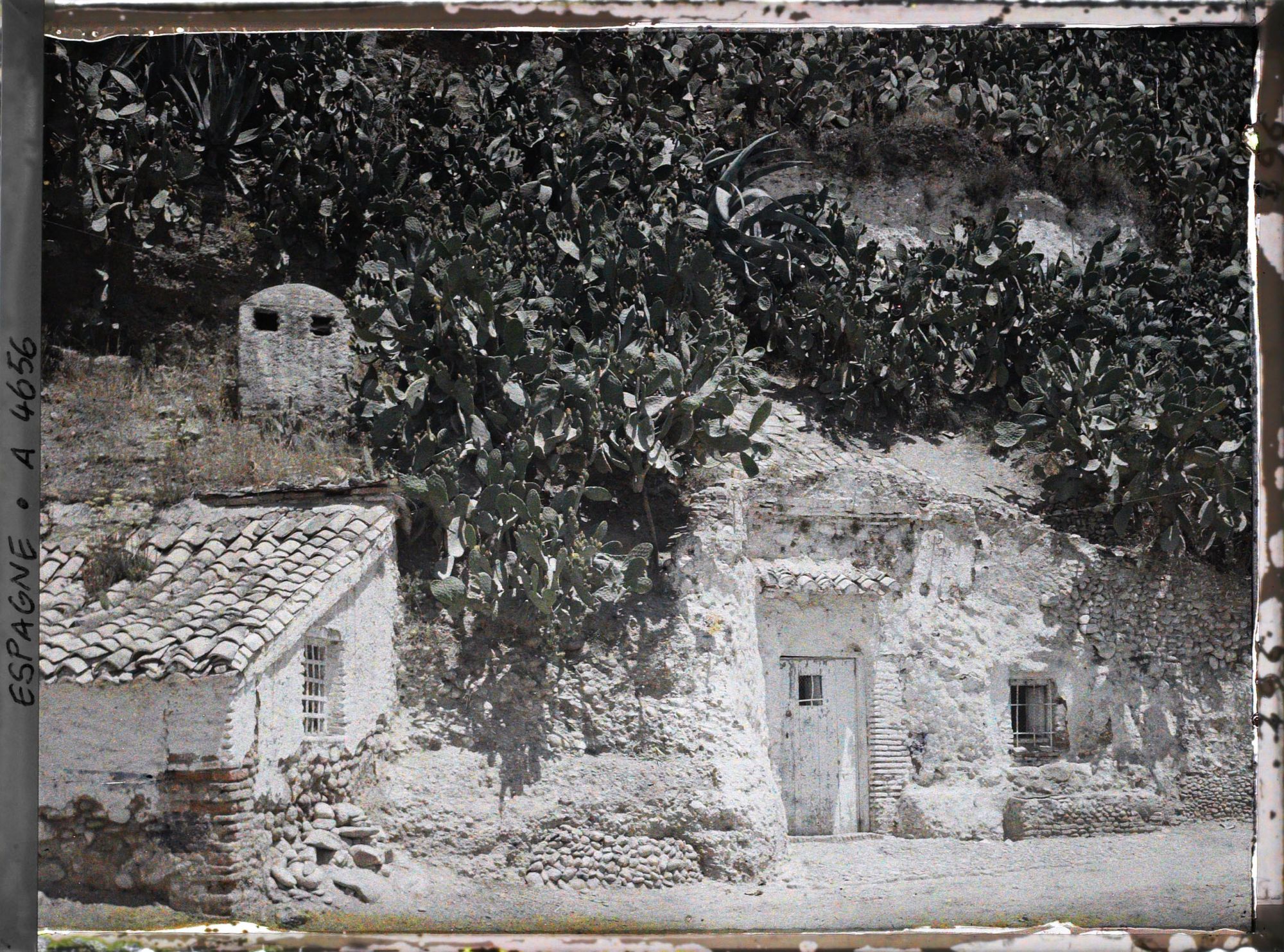 Image représentant Maisons troglodytes et figuiers de Barbarie dans le quartier de Sacromonte
