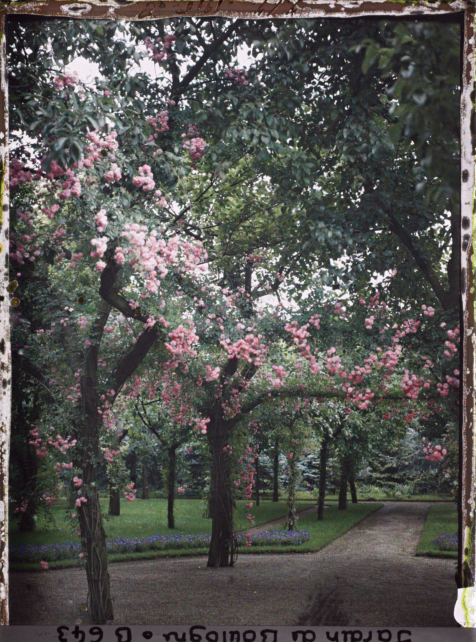 Image représentant IF7994_B000643.jpg