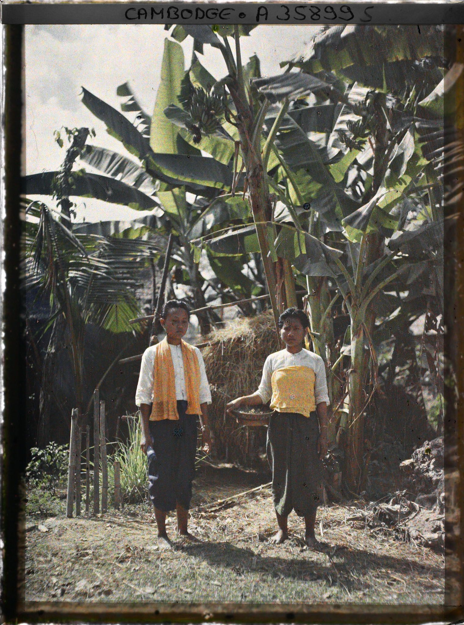 Image représentant Deux femmes sur fond des bananiers