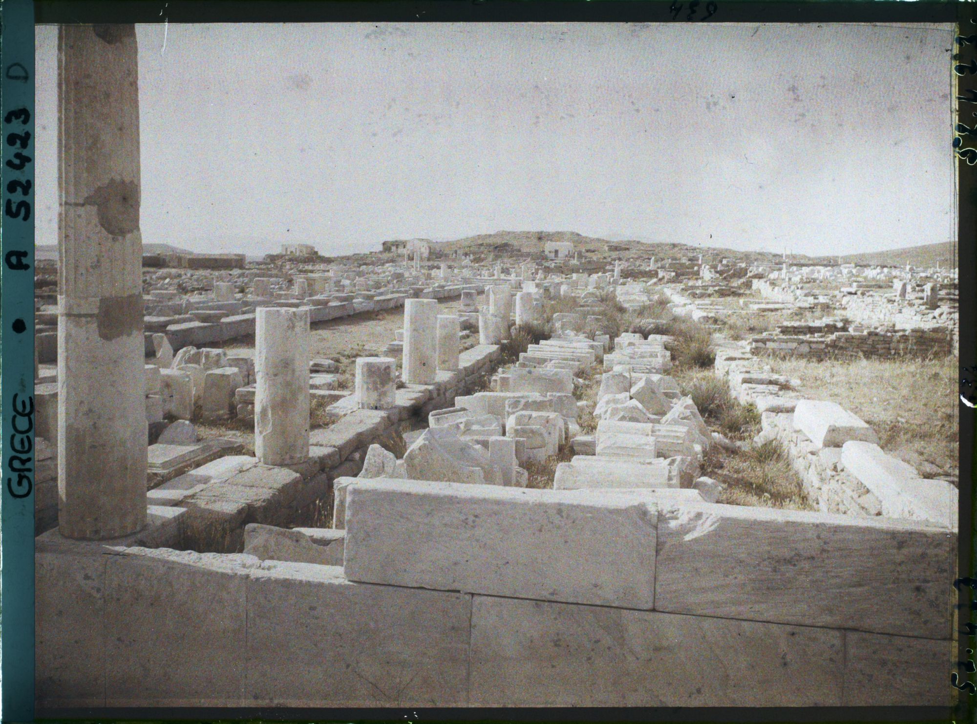 Image représentant Quartier du Hieron (sanctuaire) d'Apollon, l'avenue des Processions conduisant au Hieron (direction nord)