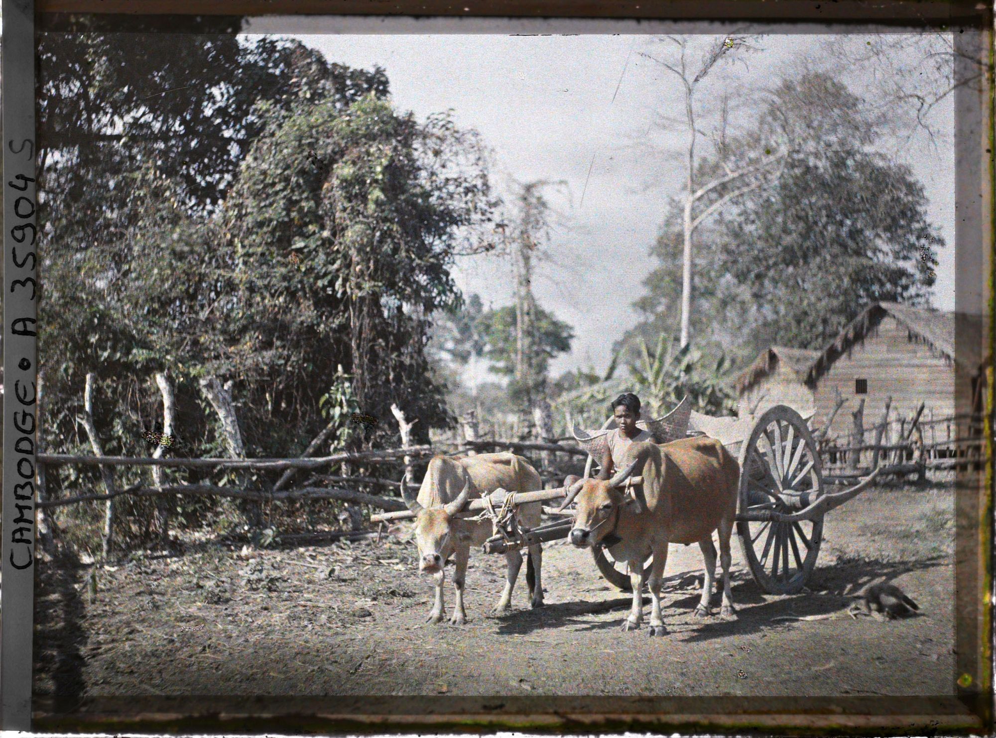 Image représentant Unn jeune garçon conduisant un attelage, dans un village