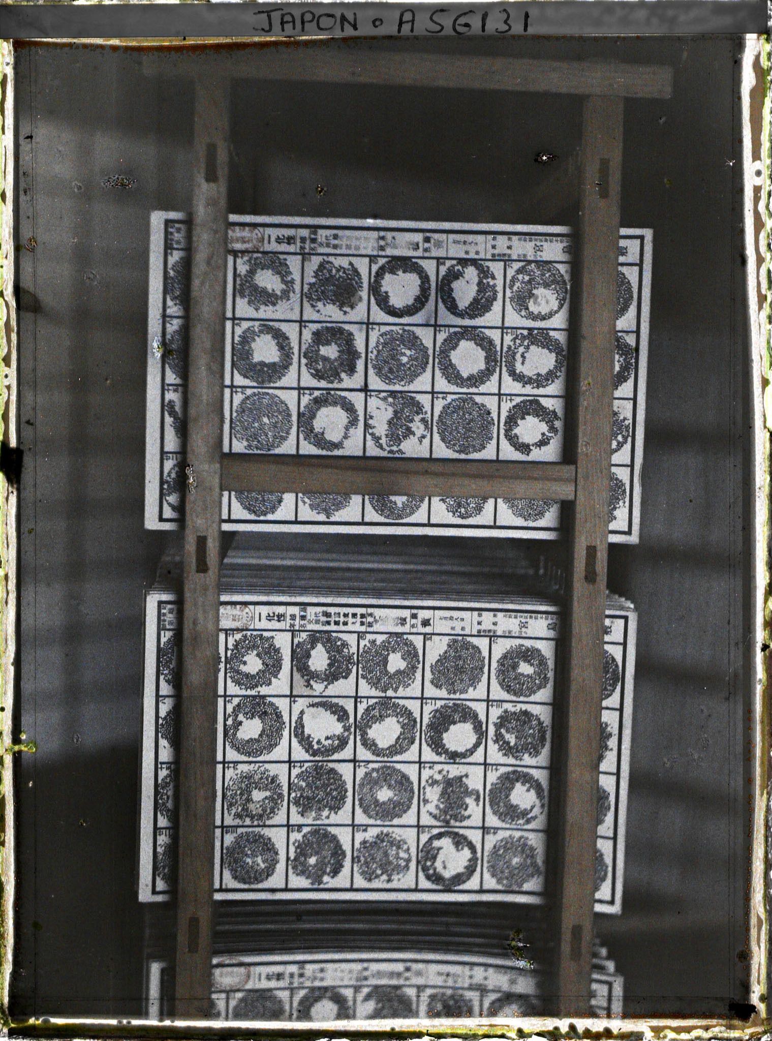 Image représentant Cartes d'œufs de papillons prêtes pour la vente