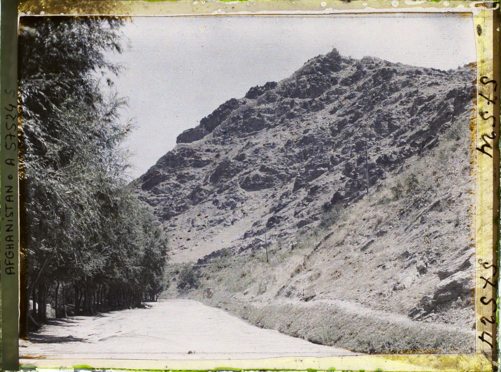 Image représentant IF972_A057524.jpg