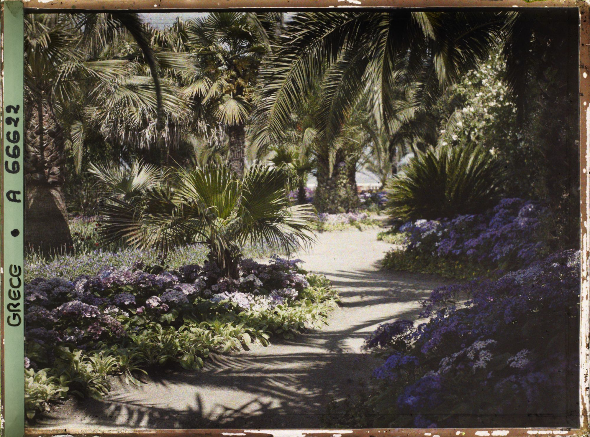 Image représentant L'Achilleion - Les Jardins