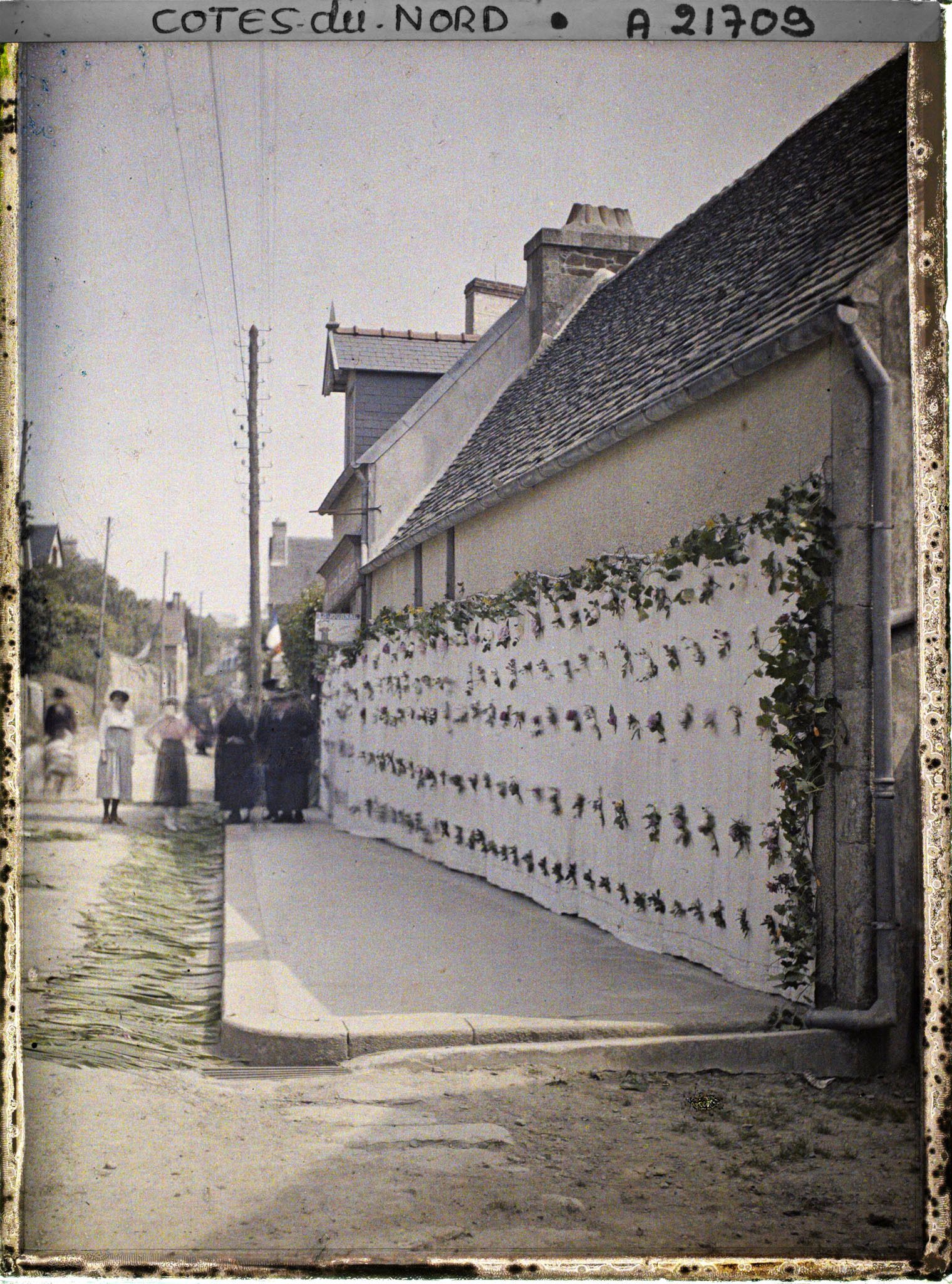Image représentant Un drap fleuri, décor pour la procession de la Fête-Dieu