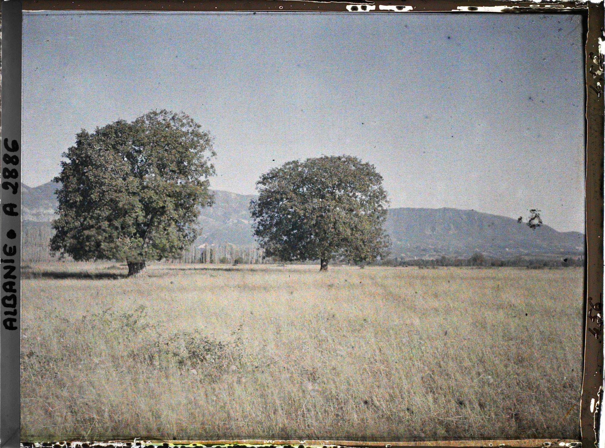 Image représentant Noyers