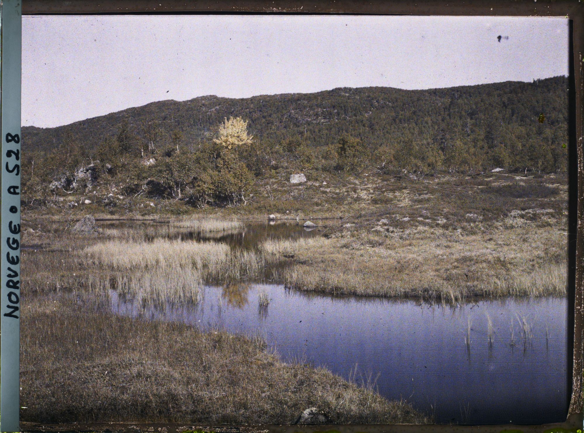 Image représentant Les bords du lac Votna?