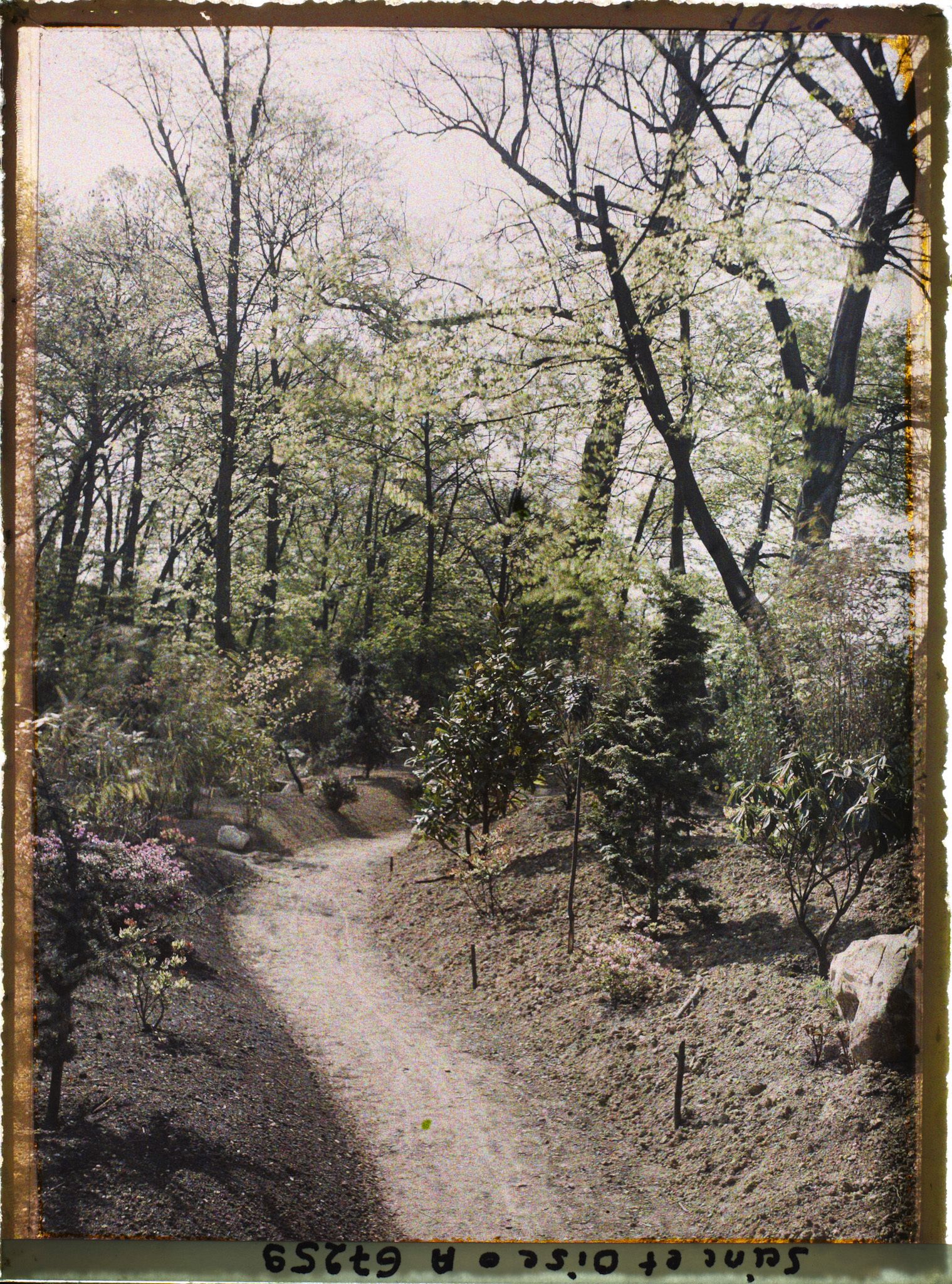 Image représentant Le jardin japonais de l'école normale supérieure de jeunes filles (ENSJF)
