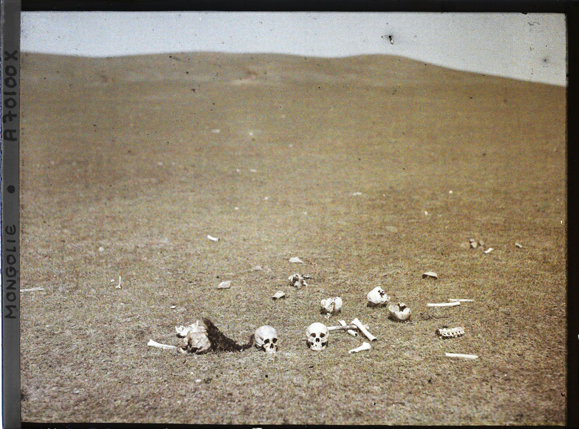 Image représentant Des ossements humains
