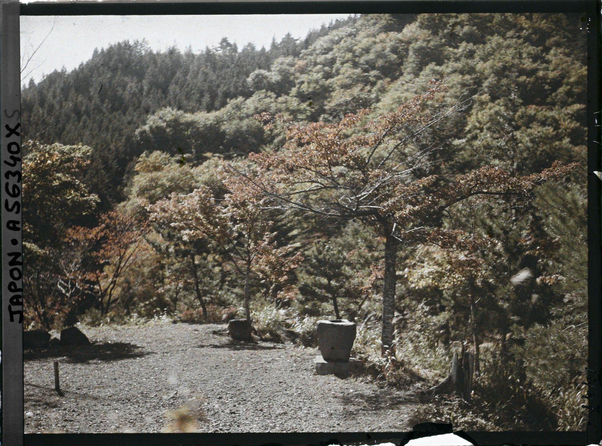 Image représentant Paysage près de Chuzenji sur la route Irohazaka