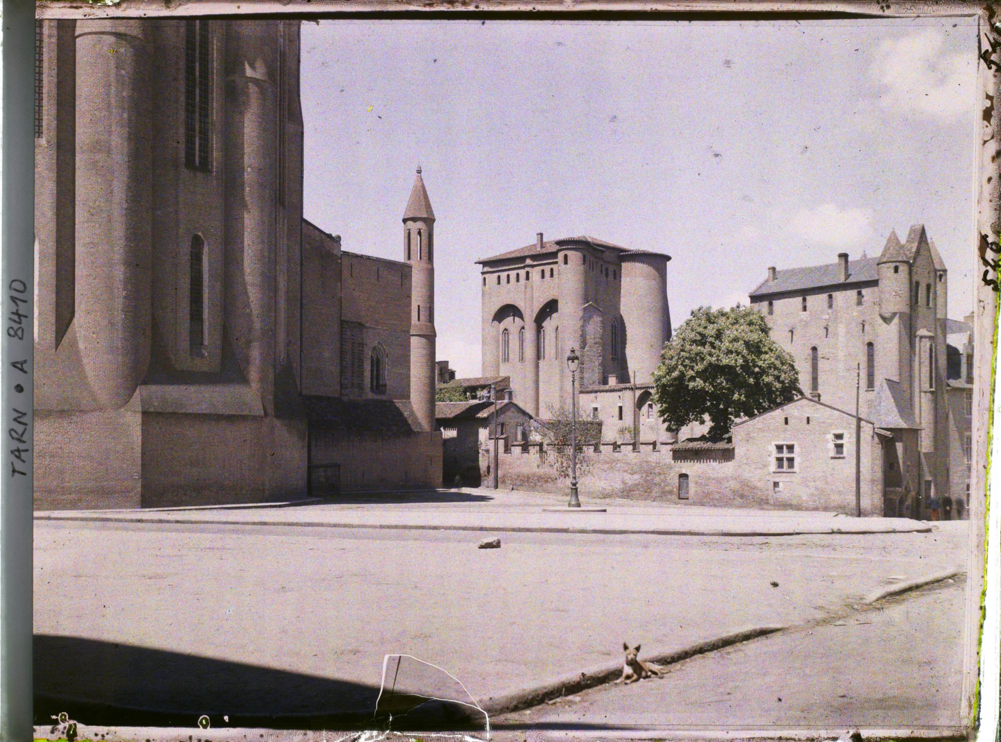 Image représentant La cathédrale Sainte-Cécile, le musée Toulouse-Lautrec et le Palais de la Berbie