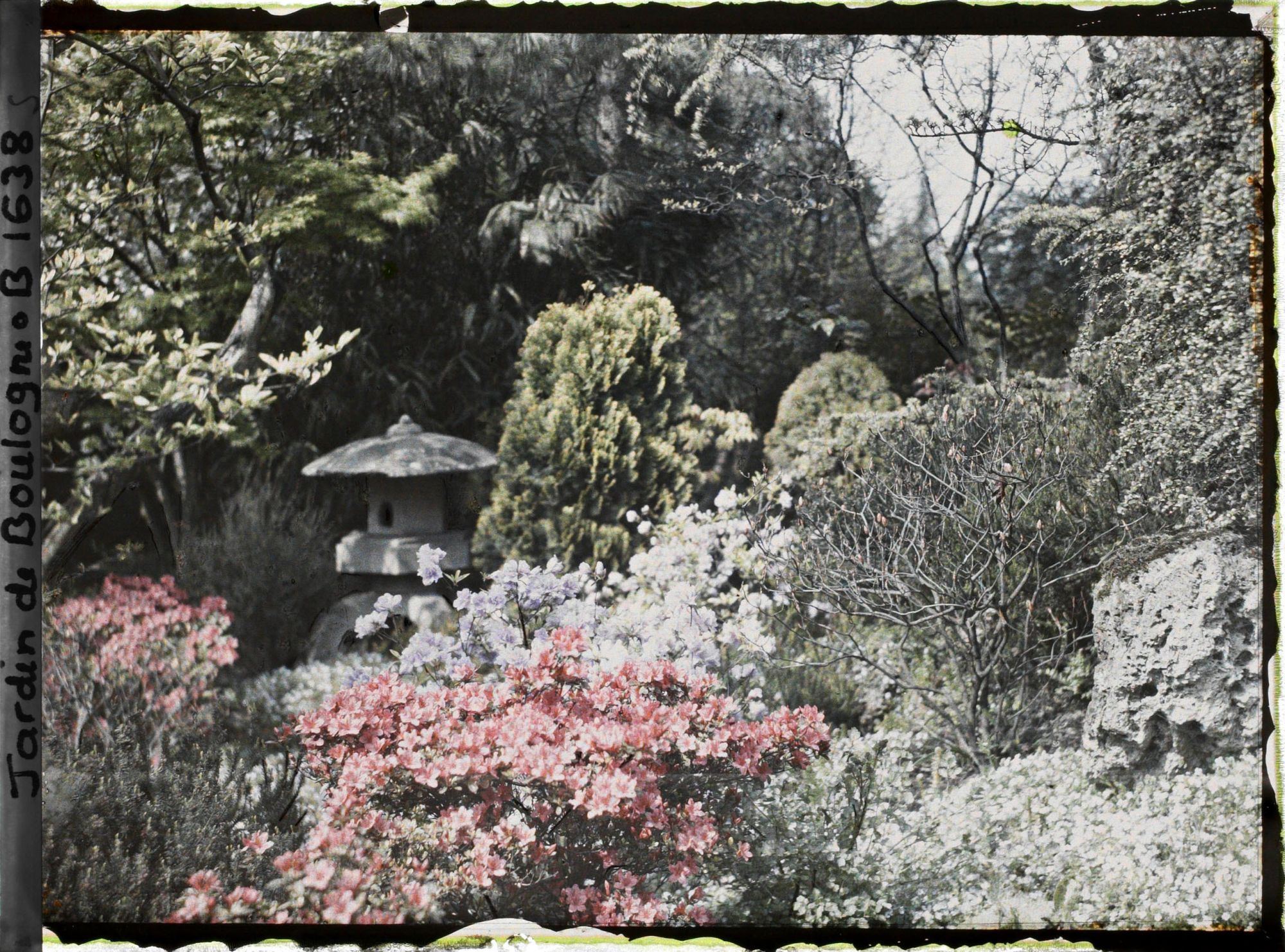 Image représentant Lanterne du " sanctuaire japonais " blottie dans un massif fleuri proche du verger-roseraie