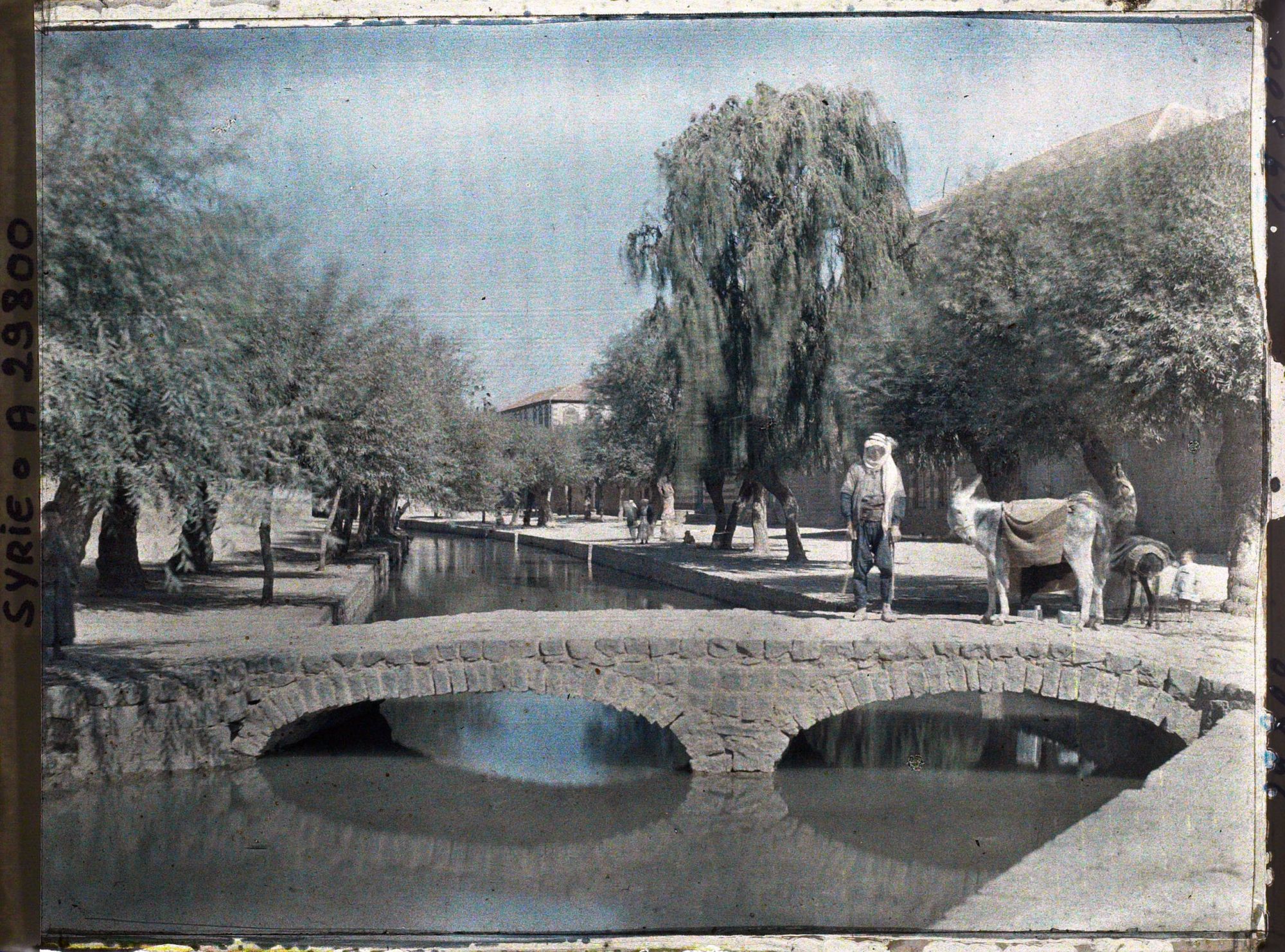Image représentant Canal alimenté par les eaux de l'Oronte (nom arabe : Nahr El Assi, la rivière rebelle)