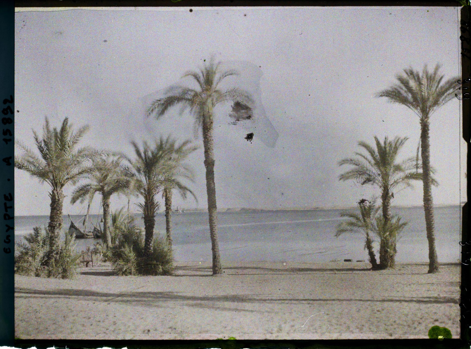 Image représentant Les bains au bord du lac Timsah