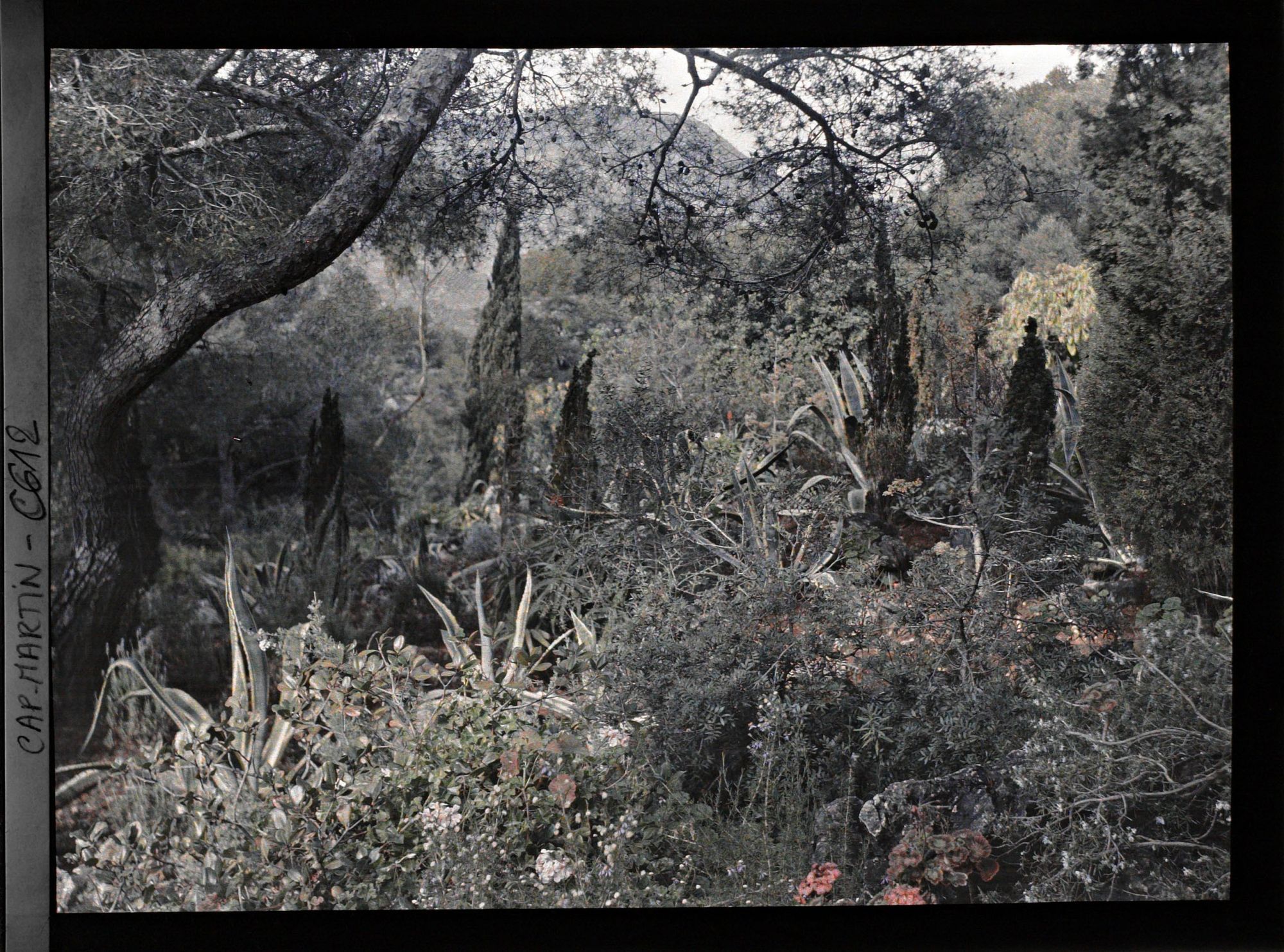 Image représentant Partie du jardin comprise entre Dunur (sic) et Miramar