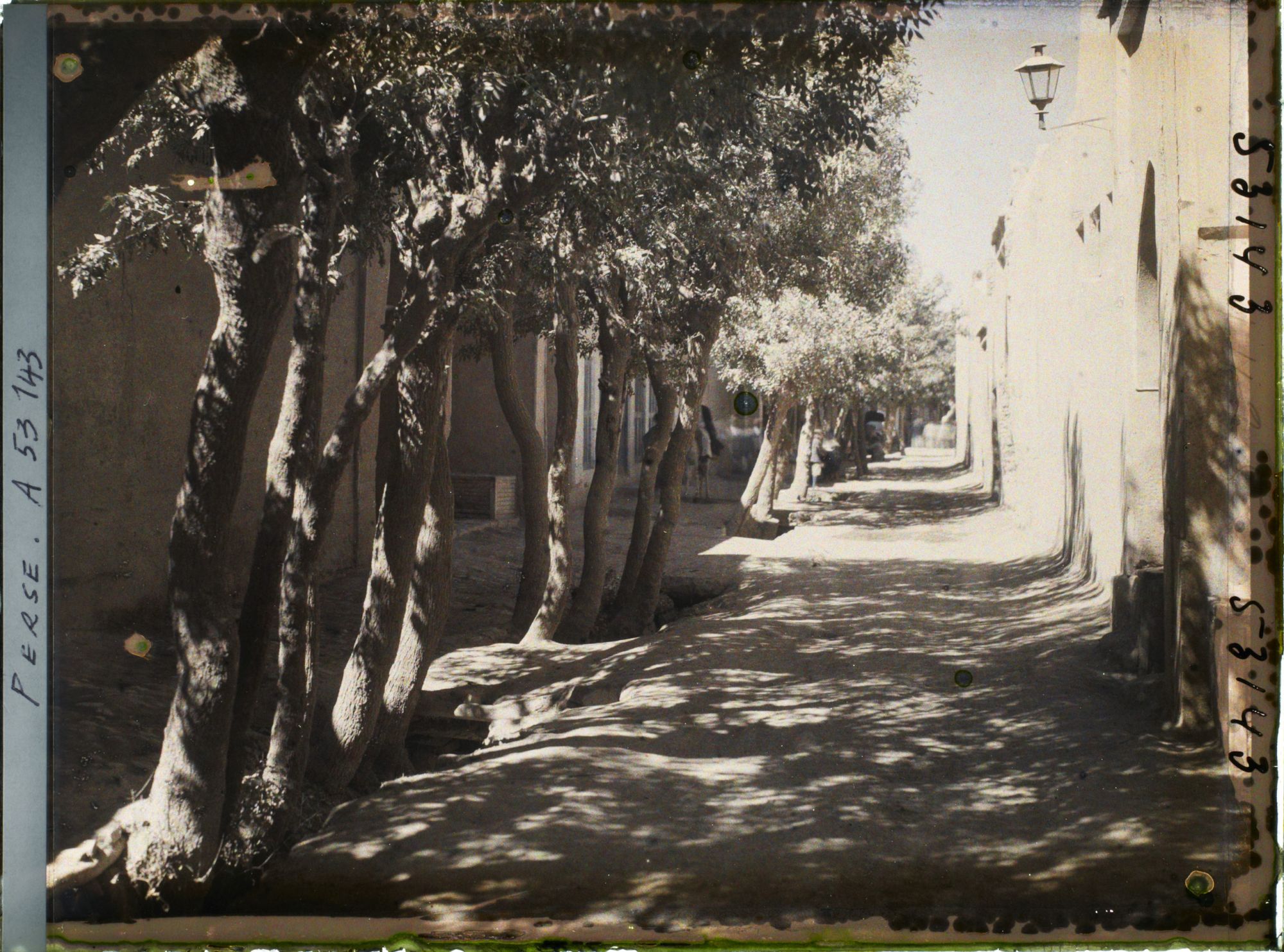 Image représentant Une rue plantée d'arbres