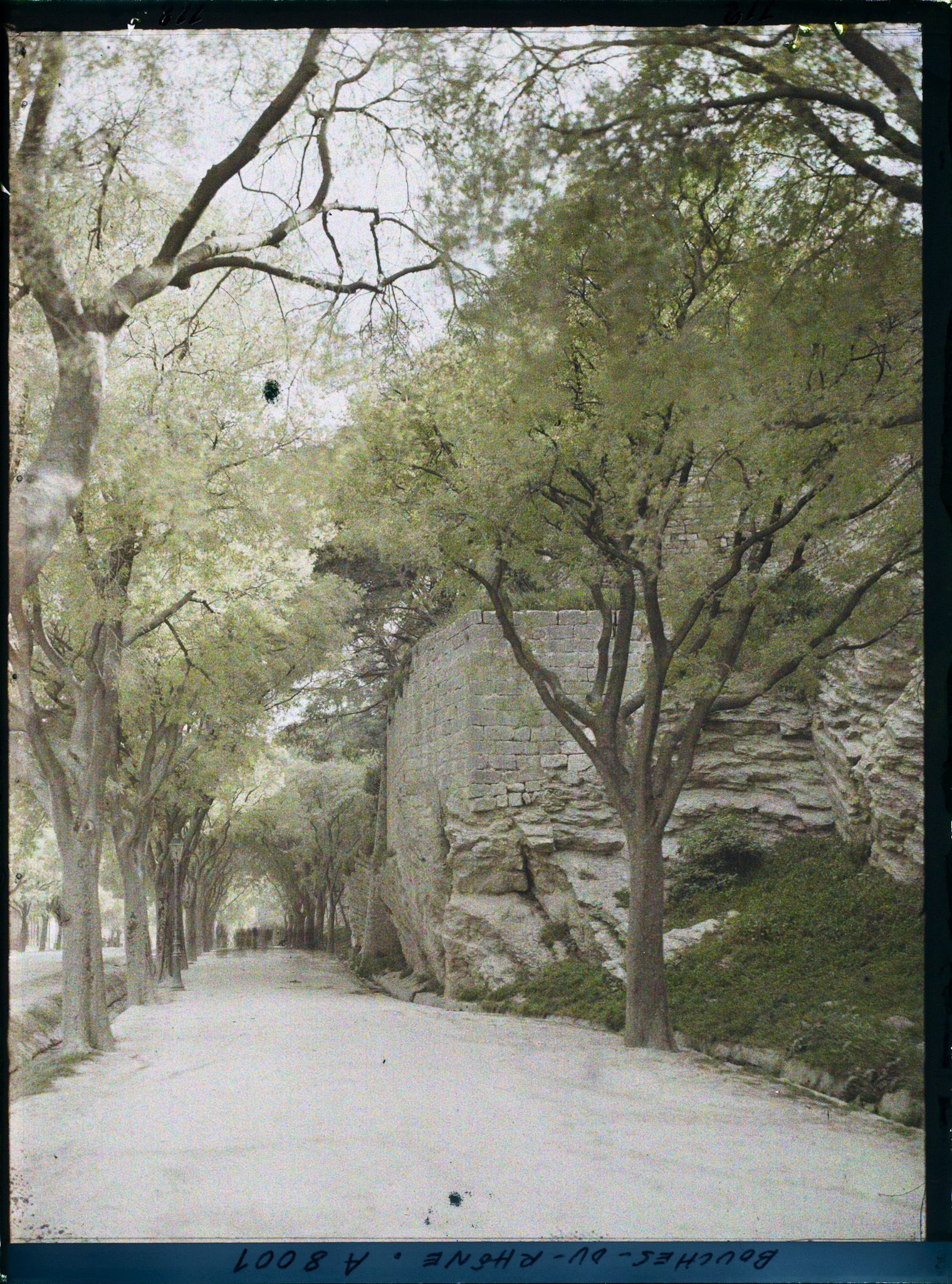 Image représentant Les remparts construits sur l'actuel boulevard Emile Combes