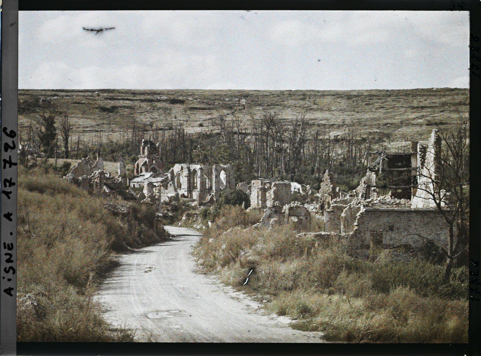 Image représentant Craonelle, Vue d'ensemble