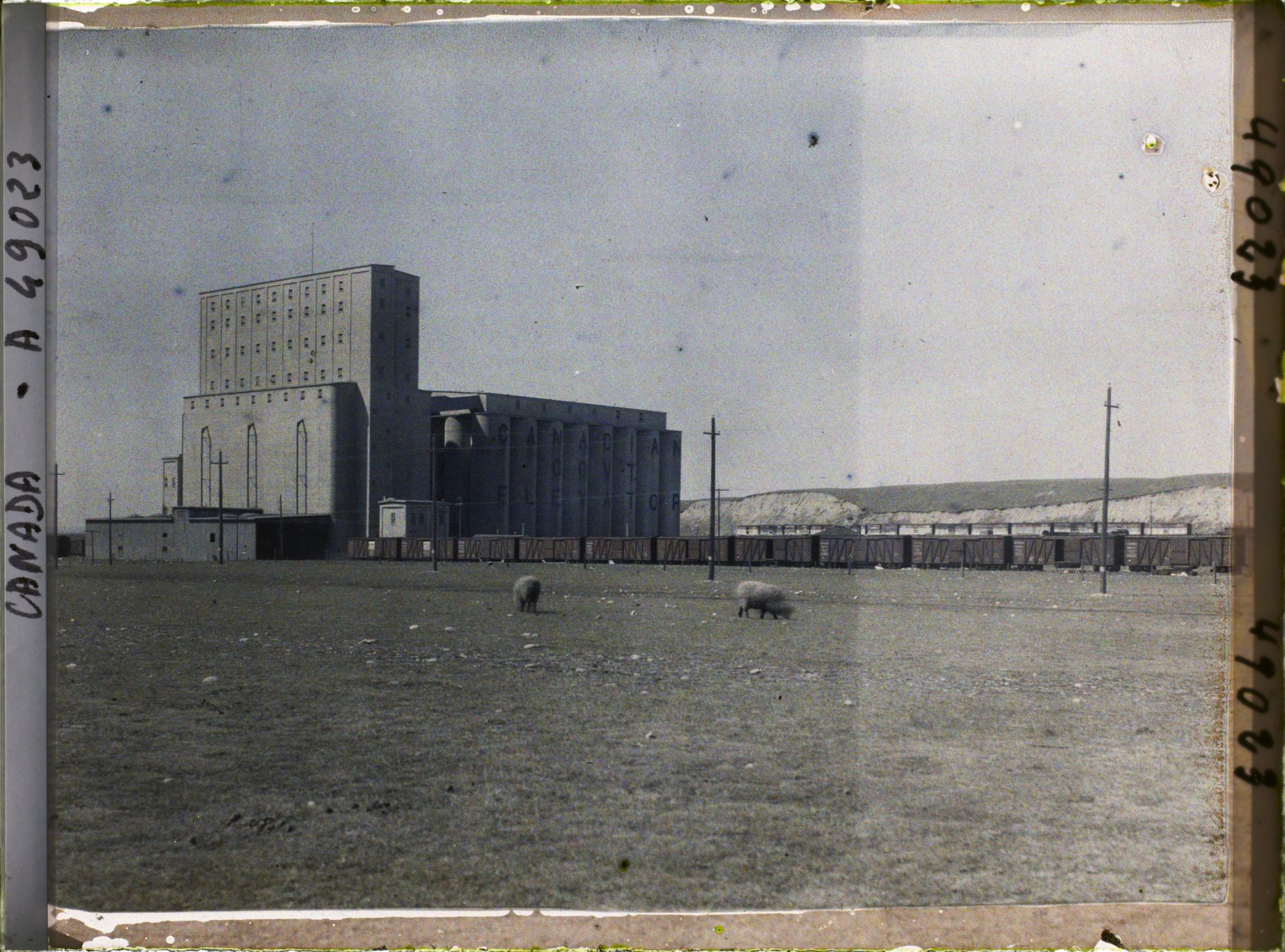 Image représentant Canada, Calgary, Elévateur du Gouvernement, Capacité : 2000 bussels