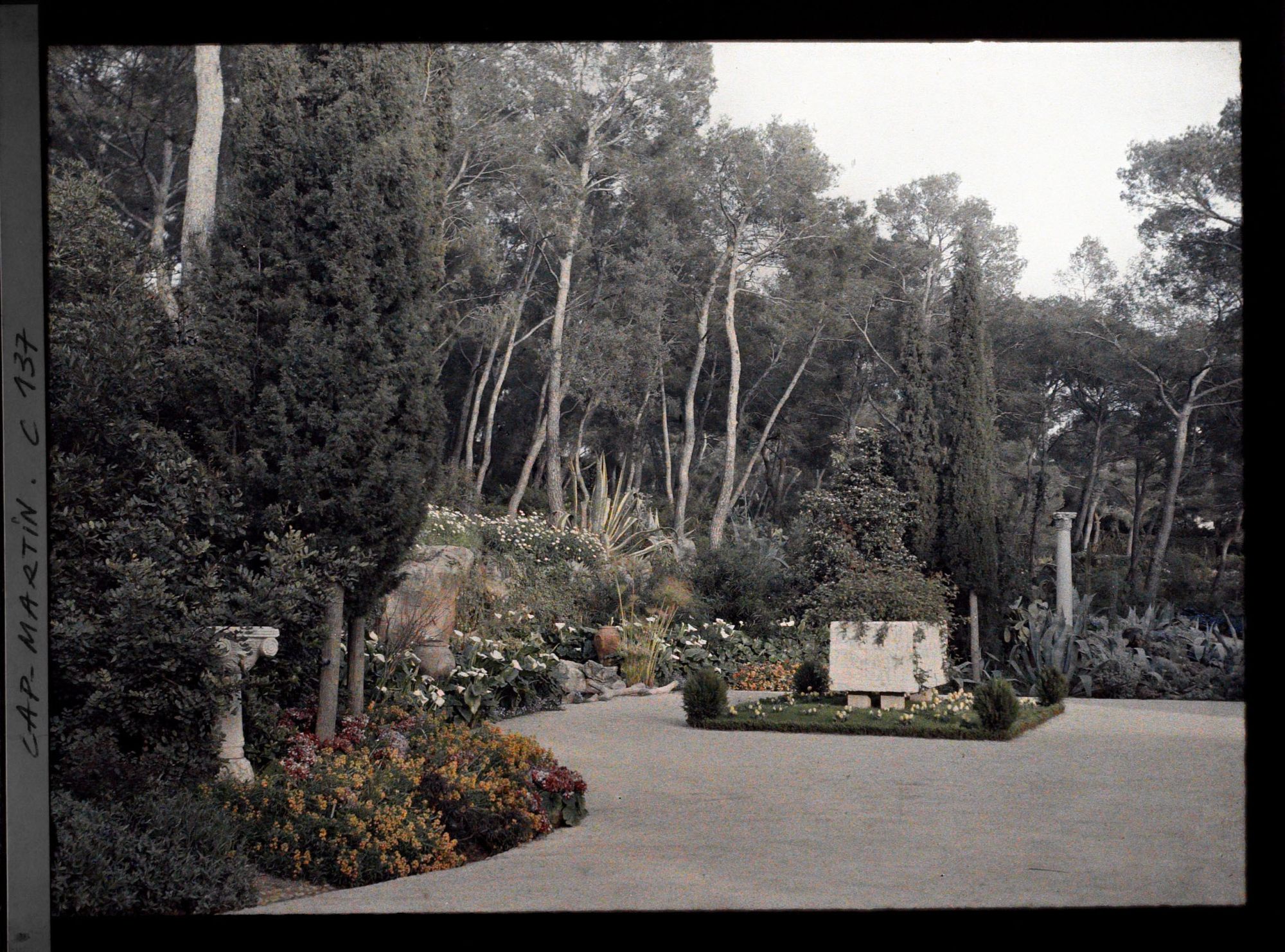 Image représentant Partie du jardin de la villa Cypris, appartenant à Madame Douine ?
