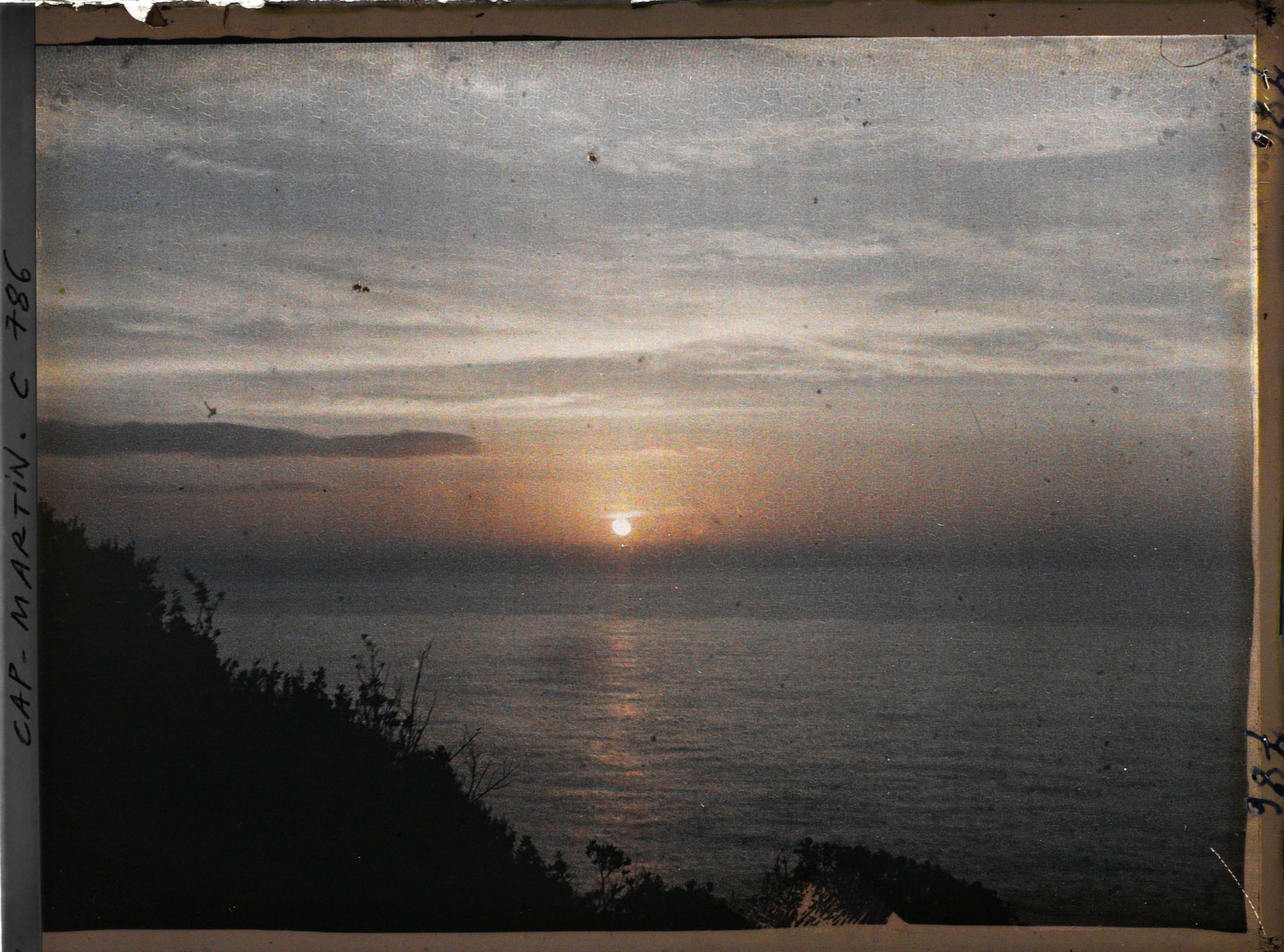 Image représentant Végétation se découpant en ombre chinoise sur la mer, lors d'un lever de soleil au cap Martin