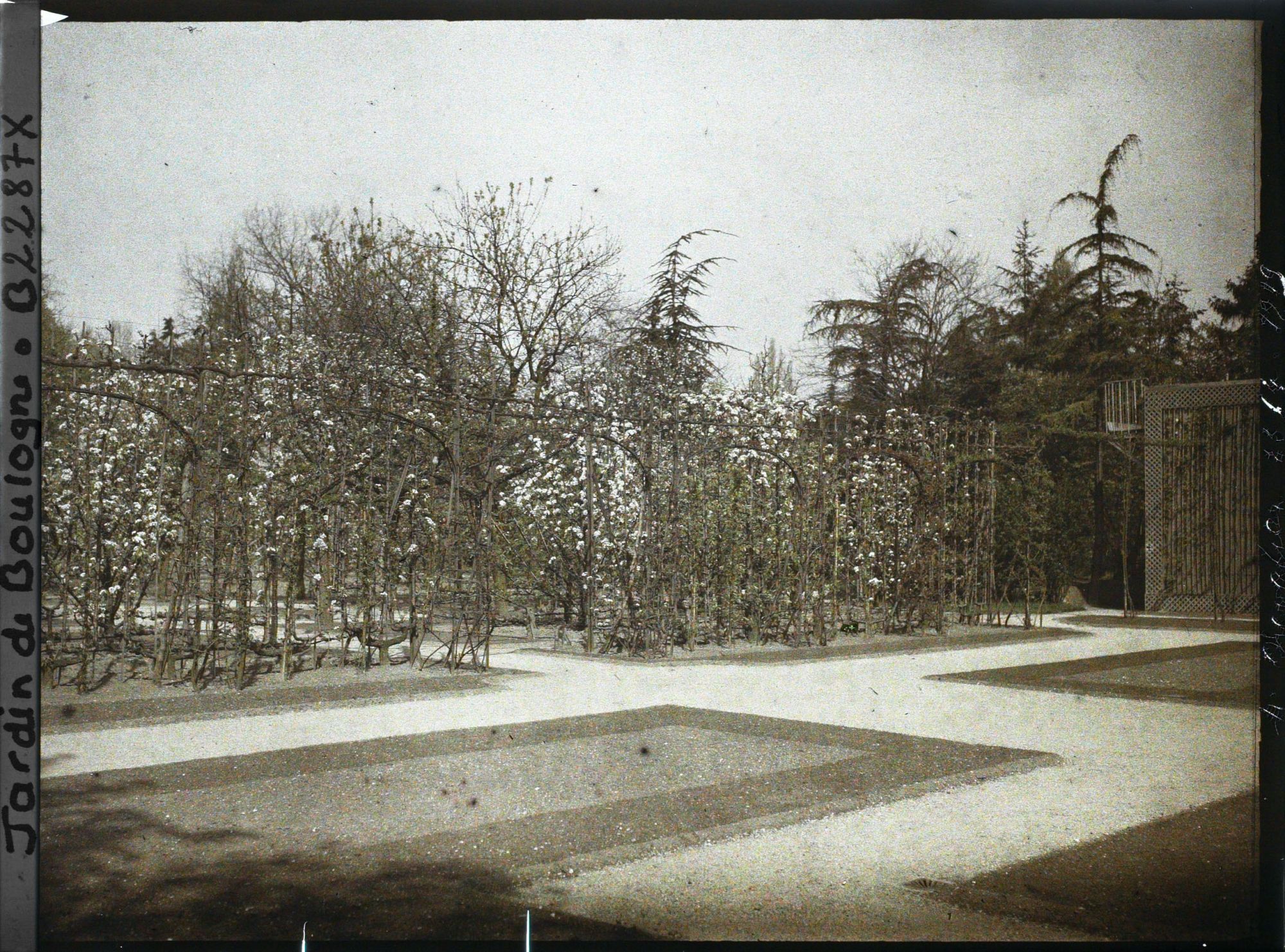 Image représentant Partie du jardin français proche du verger-roseraie, vue en direction de la serre