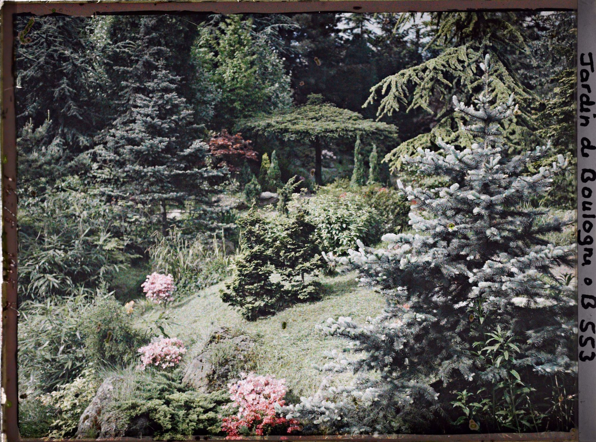 Image représentant Paysage fleuri du " sanctuaire japonais " se déroulant au pied de la façade de temple