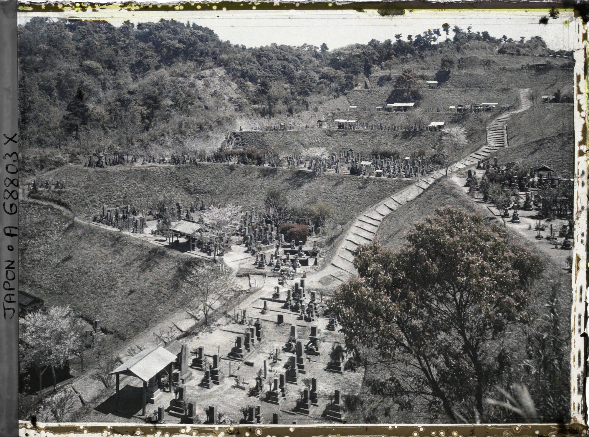 Image représentant Le cimetière (peut-être celui du quartier Kagoshimasômuta) près de la colline Shiroyama