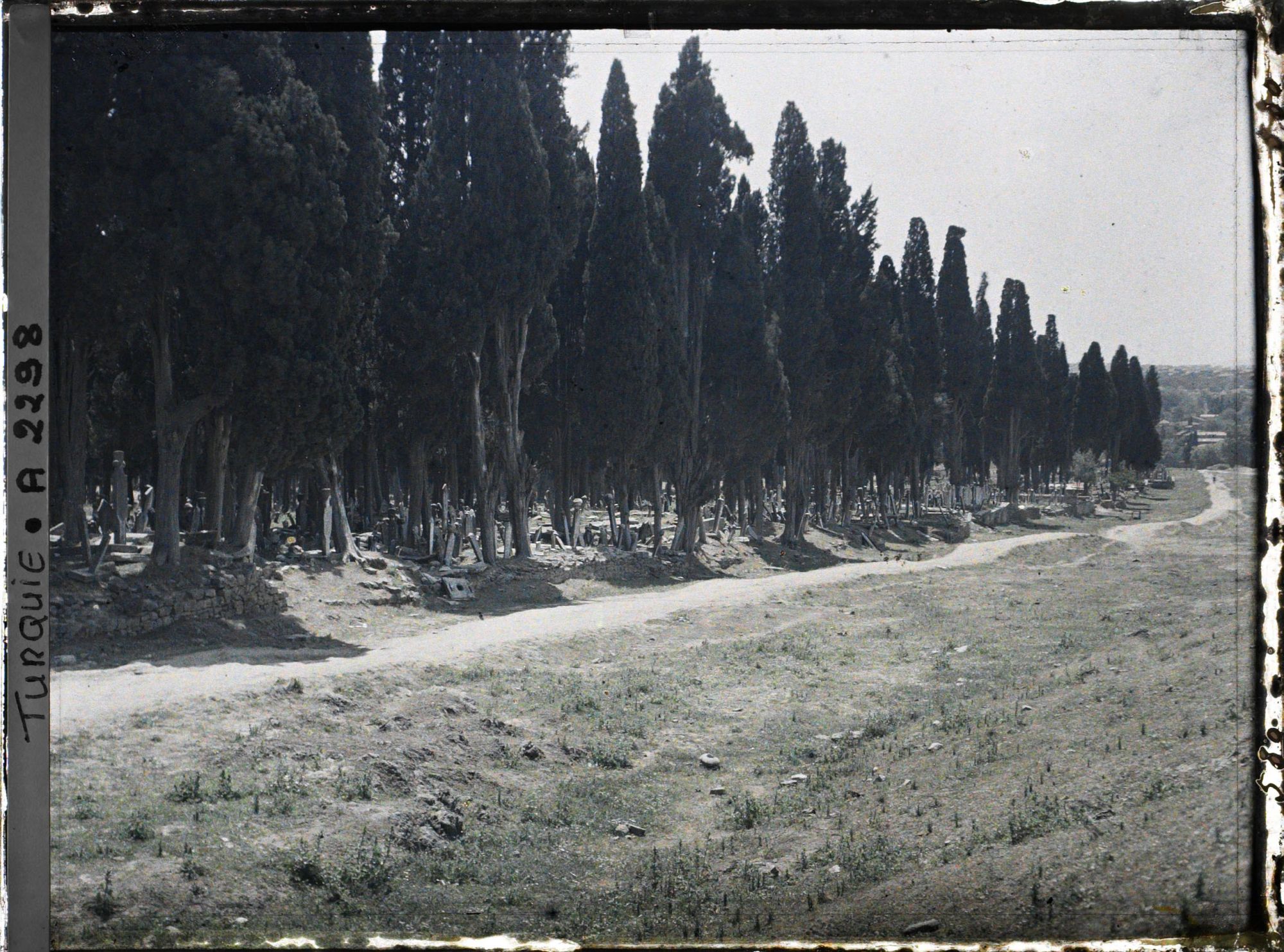 Image représentant Cimetière de Karacaahmet ou Büyük Mezaristan ("Grand cimetière") dans un bois de cyprès