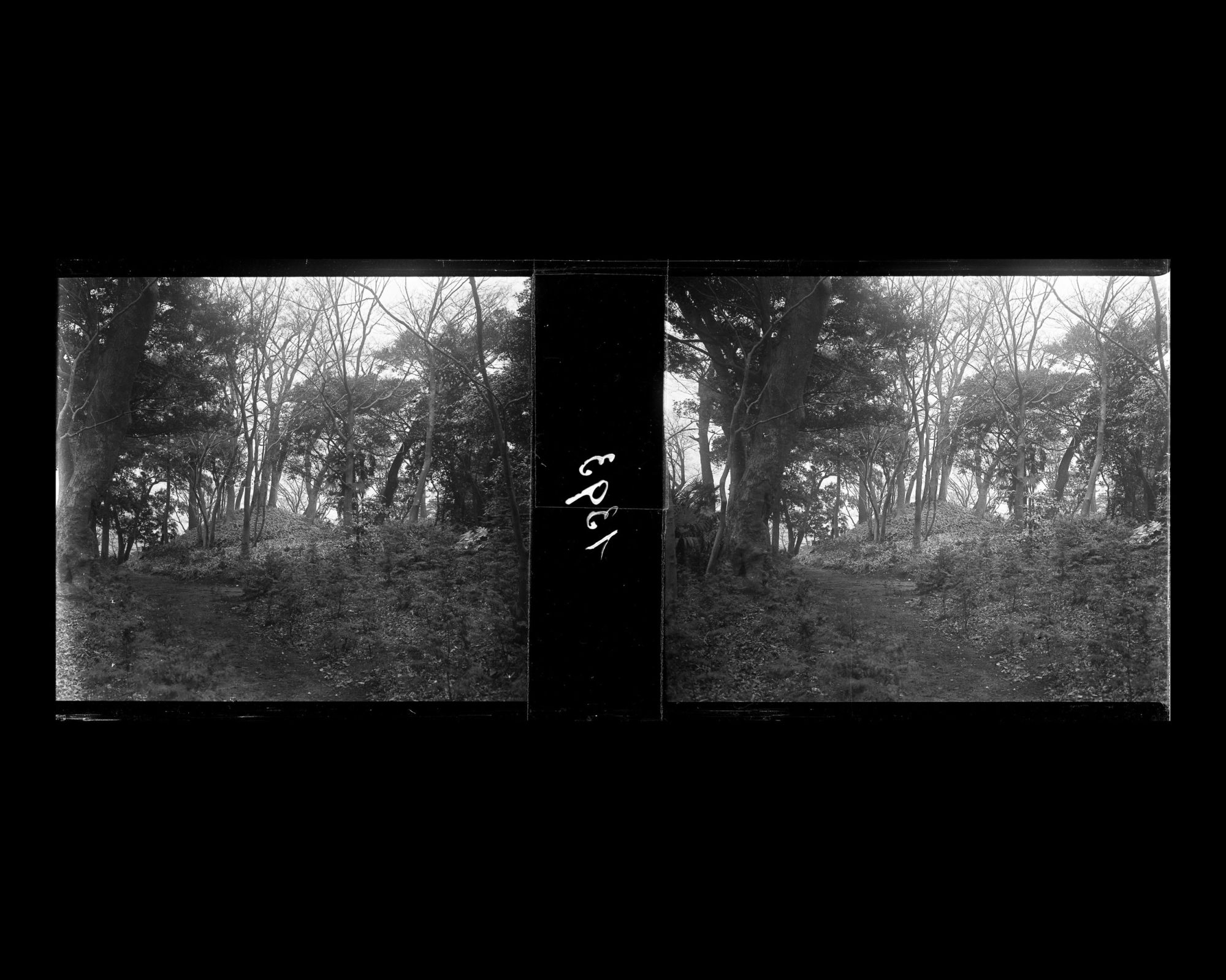 Image représentant Le jardin de la résidence du marquis Masayoshi Matsukata