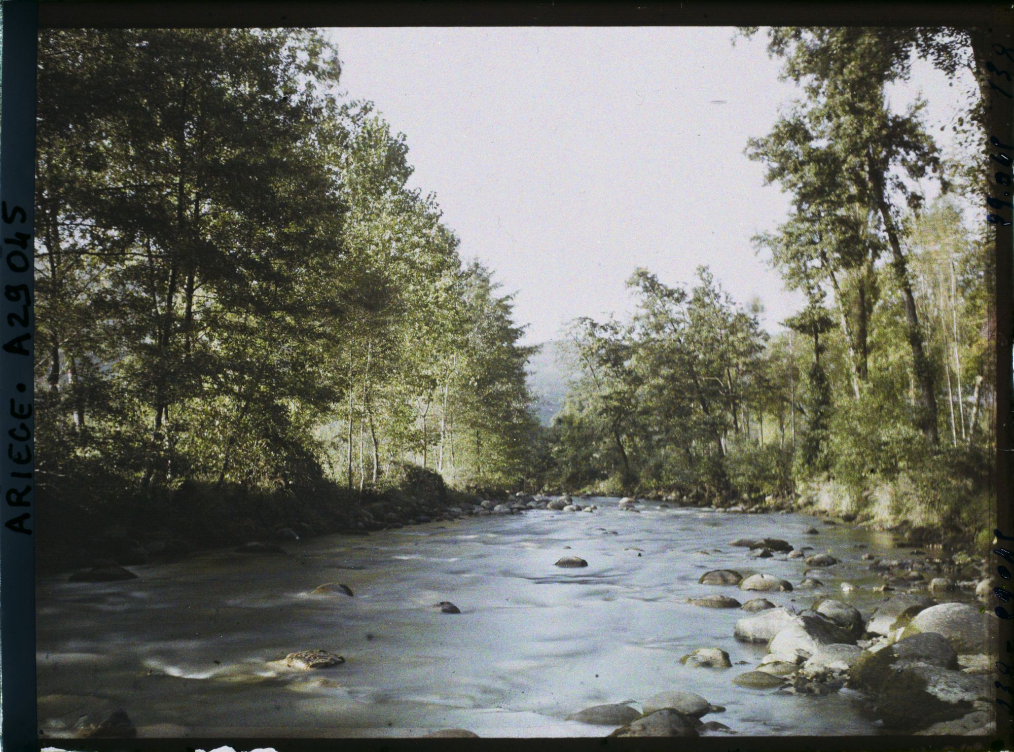 Image représentant Le Lez vers l'aval