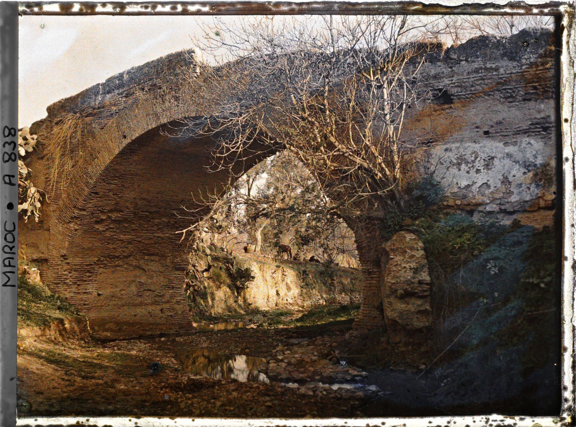 Image représentant Un vieux pont en brique