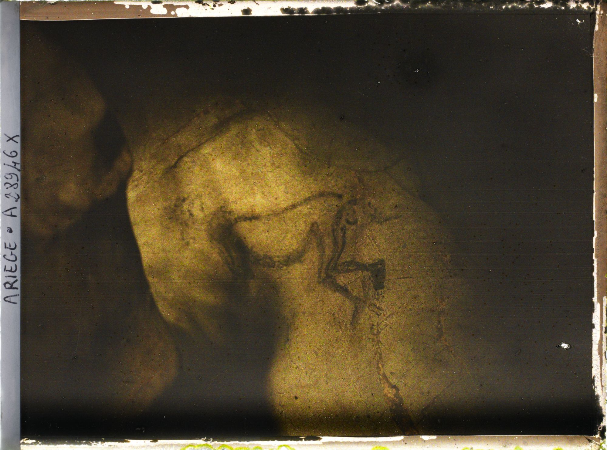 Image représentant La grotte des Trois-Frères : le sorcier