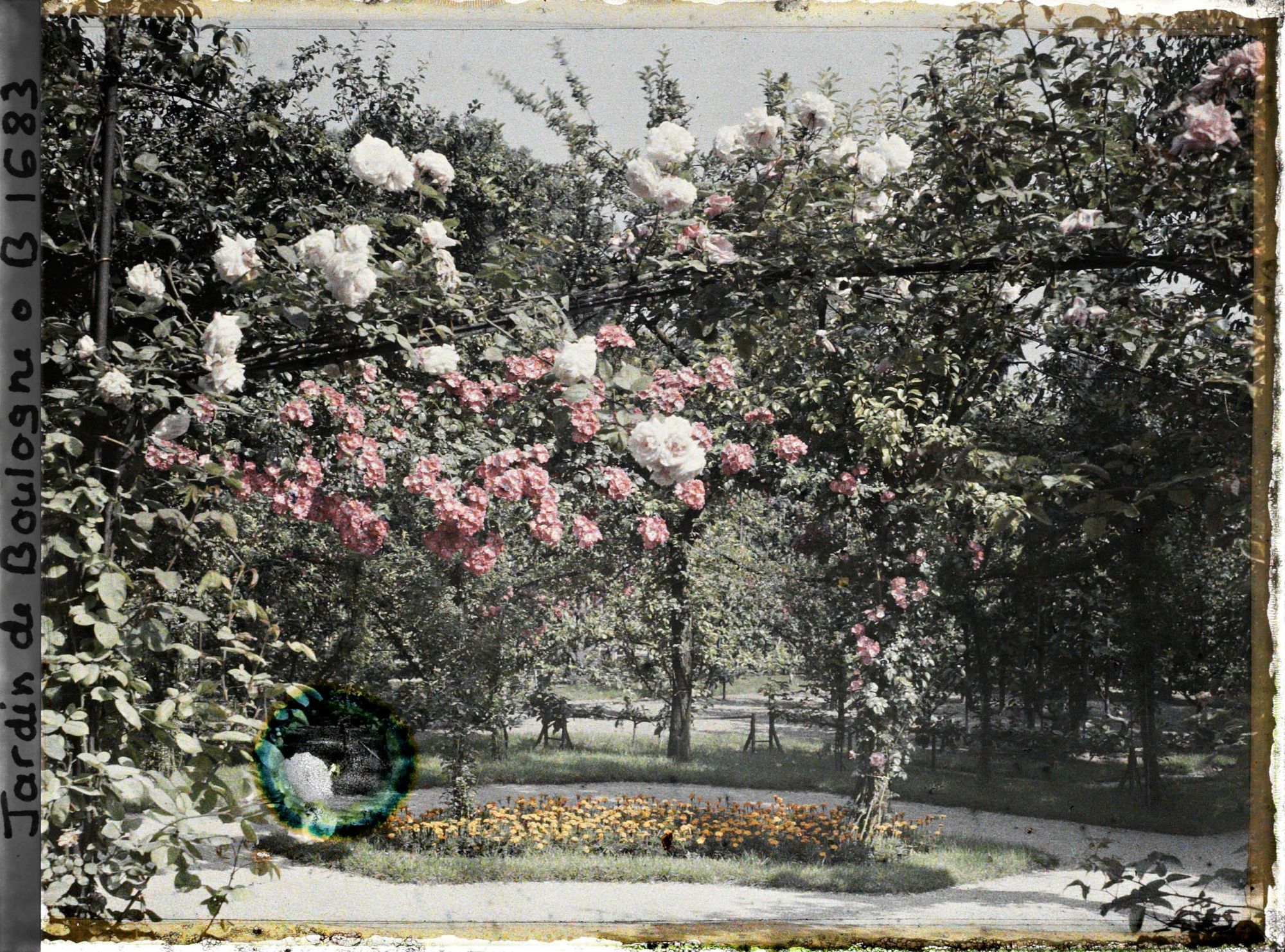 Image représentant Partie nord-ouest d'un rond-point fleuri du verger-roseraie situé non loin du jardin français