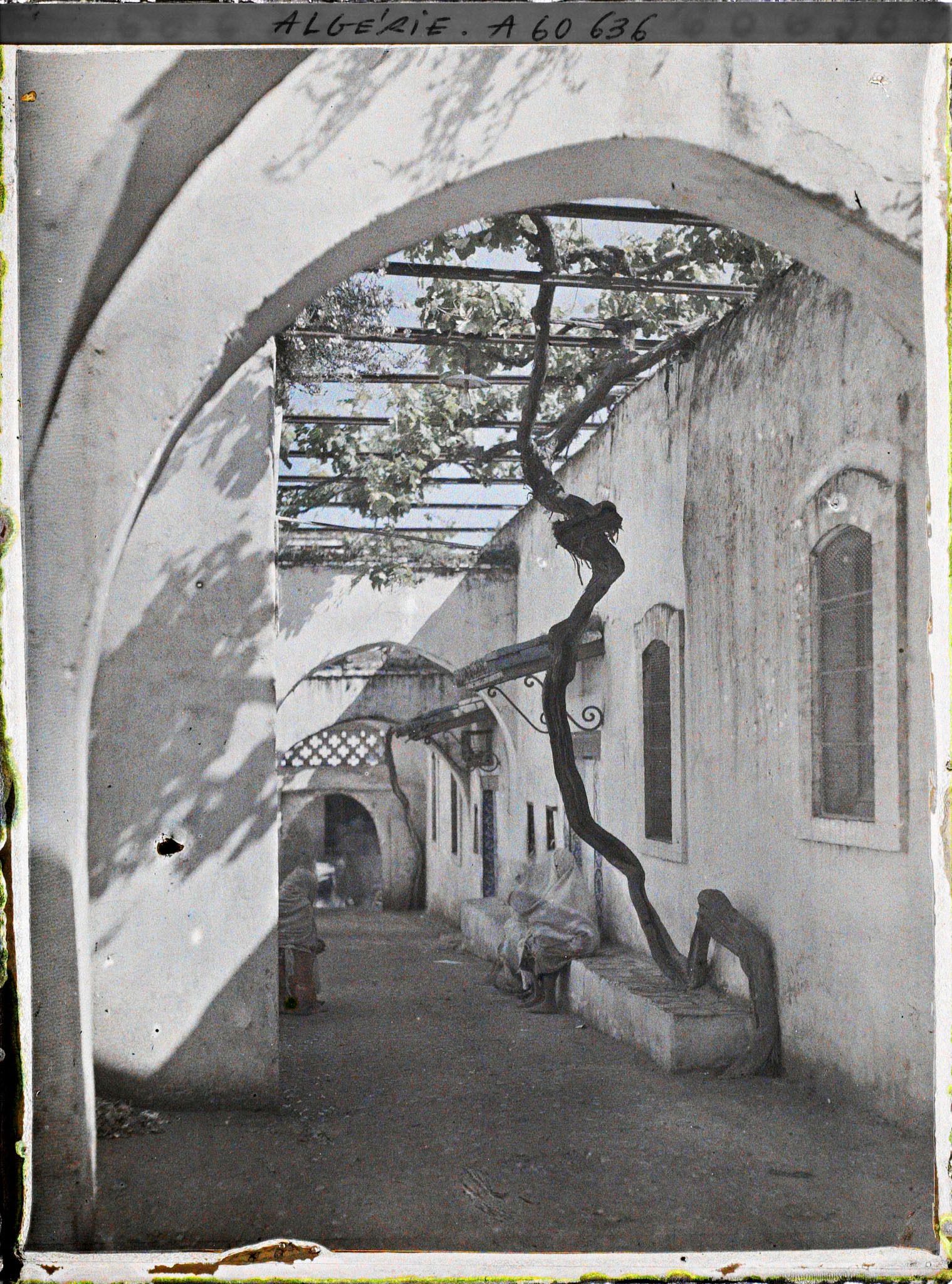 Image représentant Les abords du sanctuaire de Sidi Bel Hassen