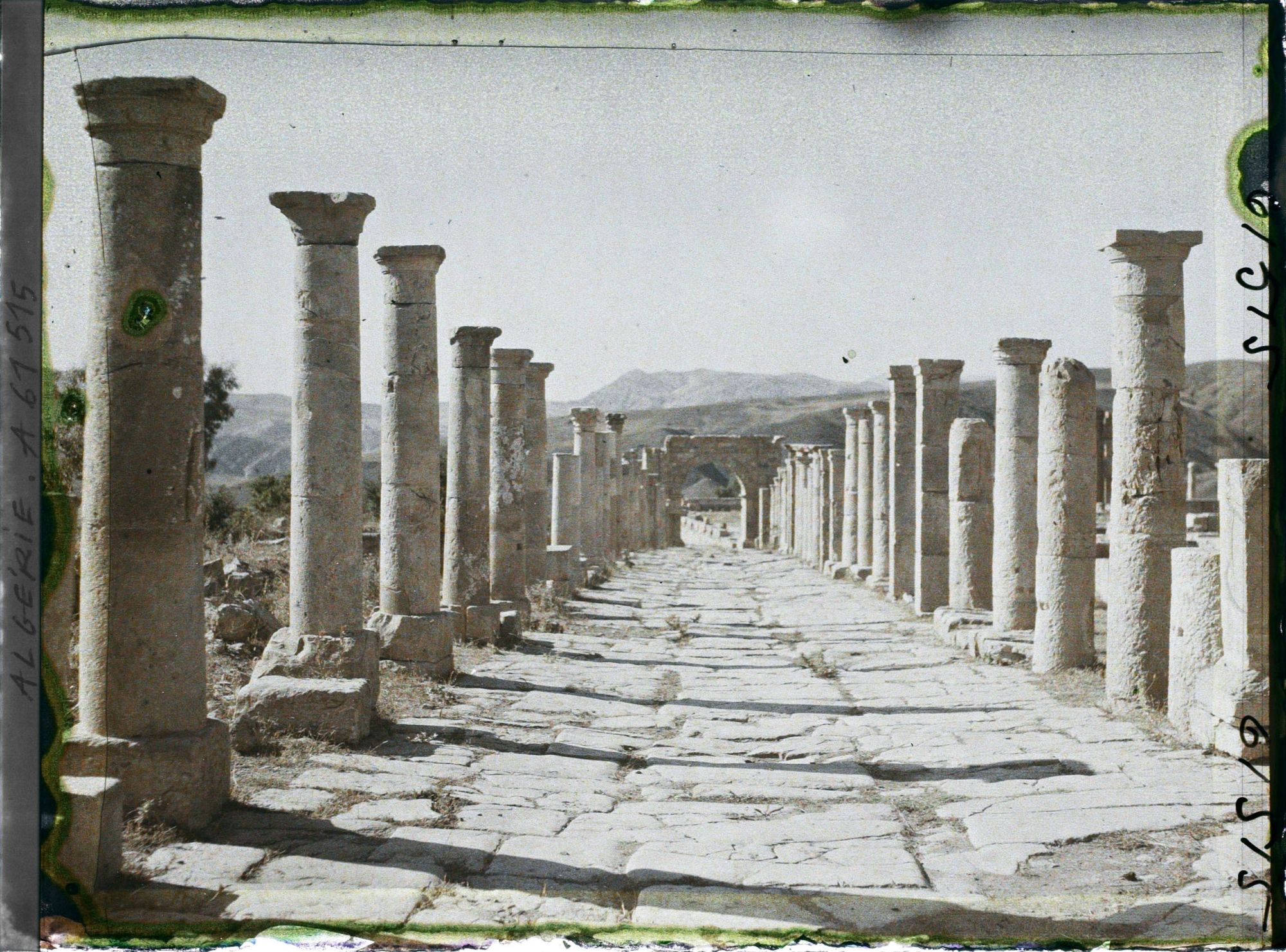 Image représentant Le cardo maximus vestiges de de l acité antique Cuicul