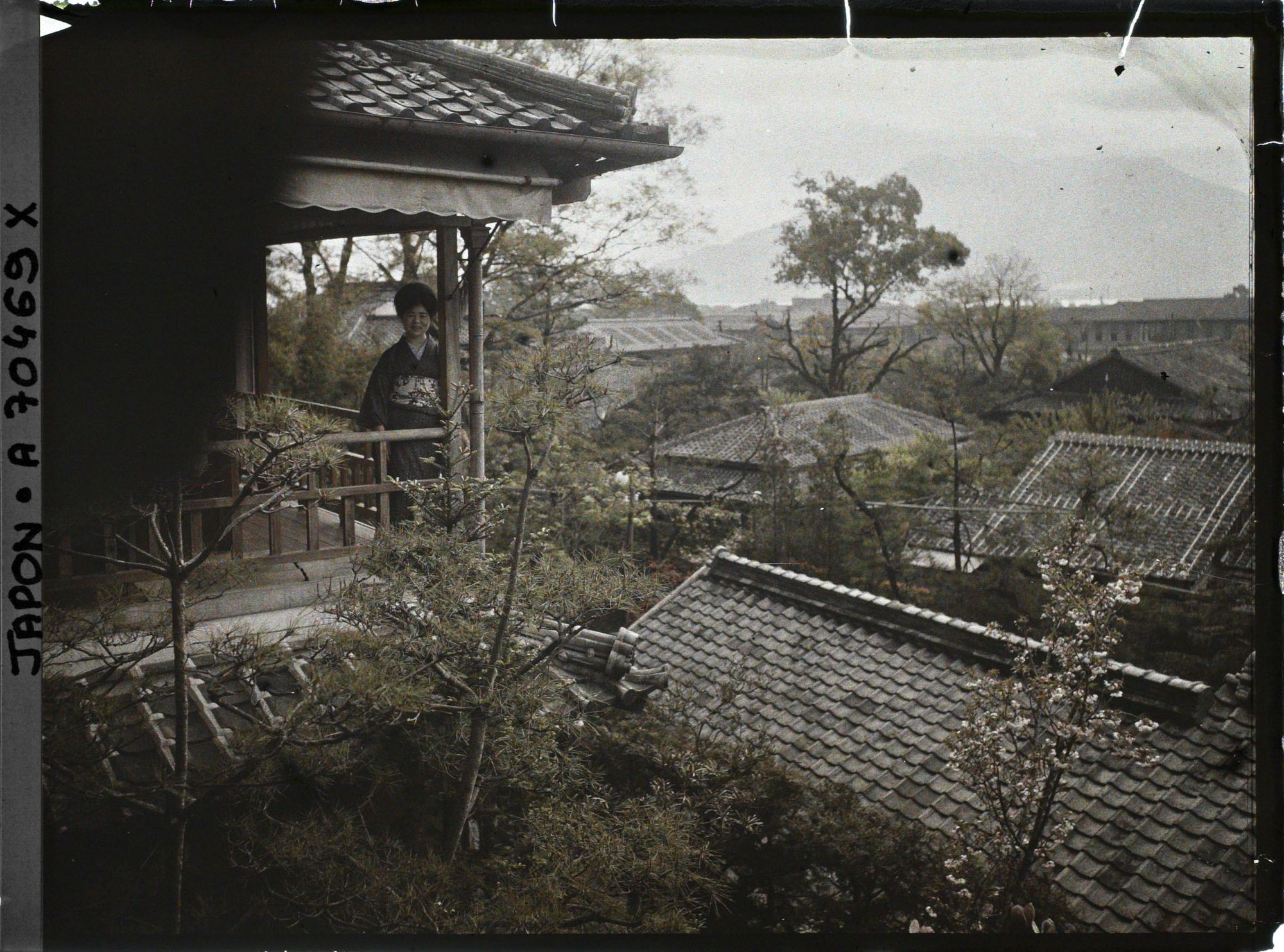 Image représentant Vue de la ville et du Sakurajima depuis une auberge