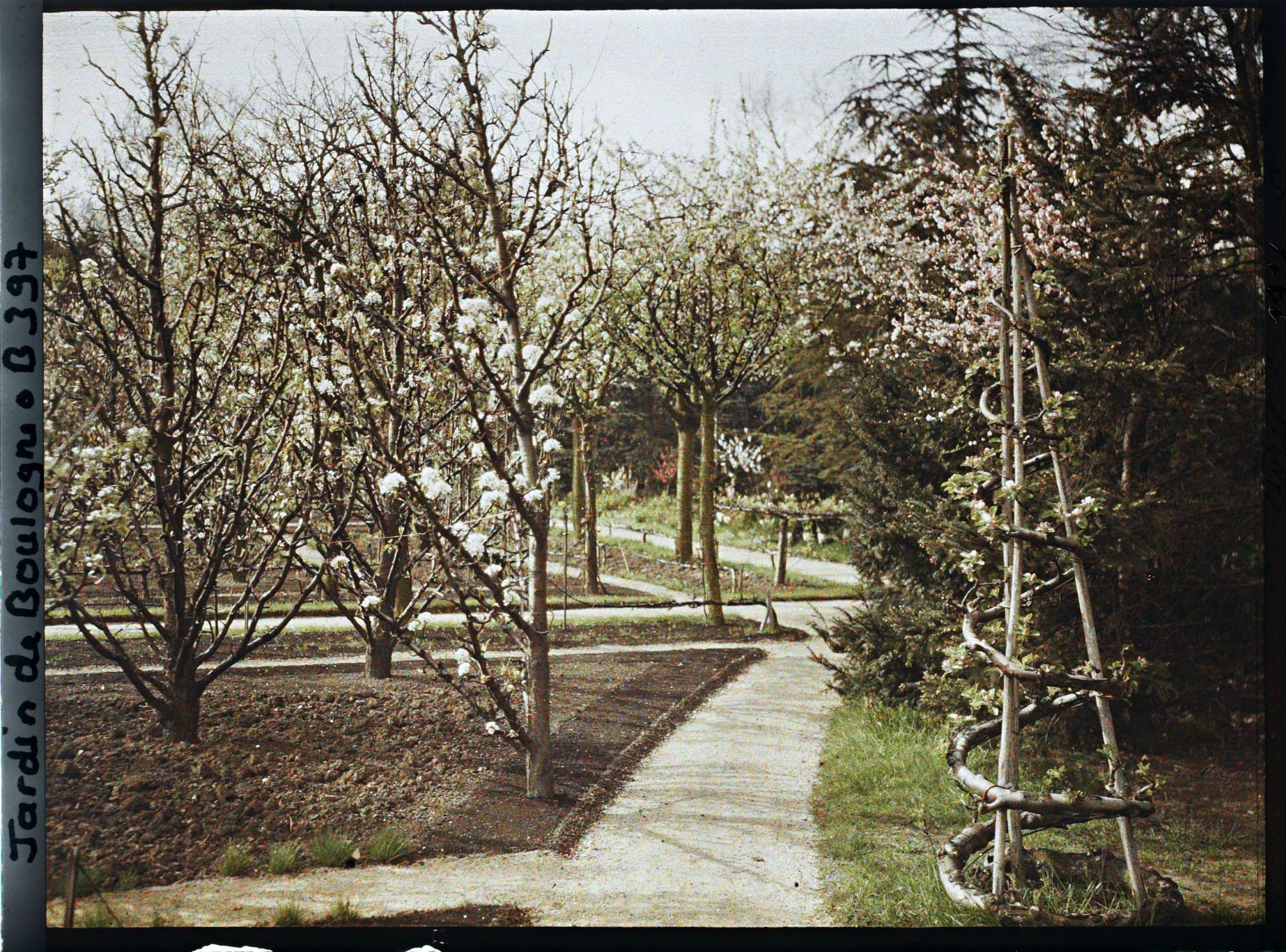 Image représentant Allée entre le verger-roseraie et la forêt bleue, vue près du jardin français en direction de l'ouest