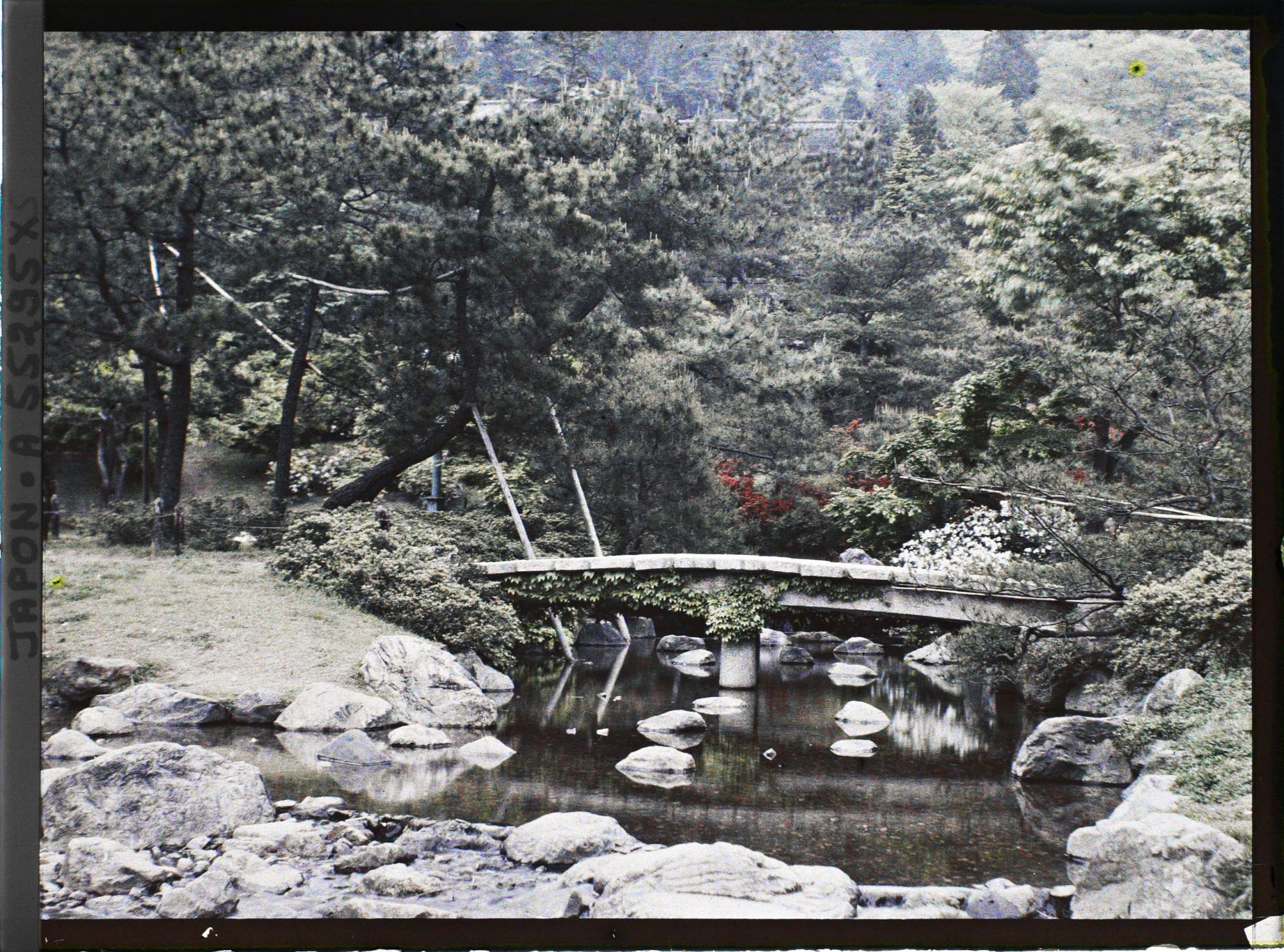 Image représentant Le parc Maruyama (Maruyama kôen)