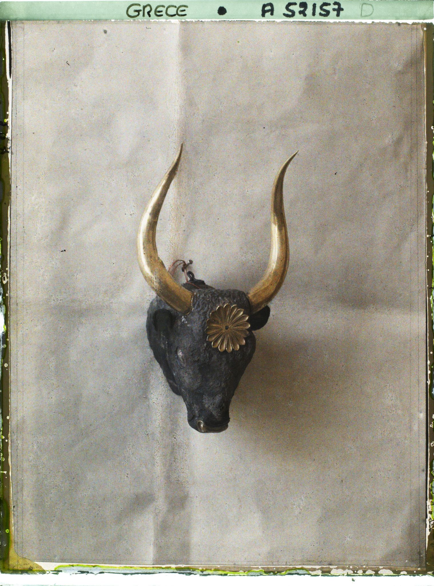 Image représentant Rhyton (coupe) en argent en forme de tête de taureau, avec cornes, mufle et rosace décorative en or