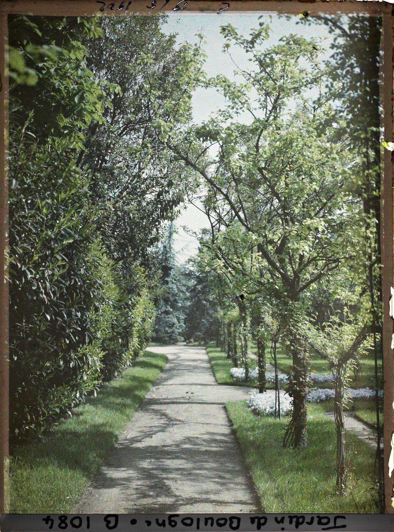 Image représentant Allée du verger-roseraie longeant la dépendance en direction de la forêt bleue