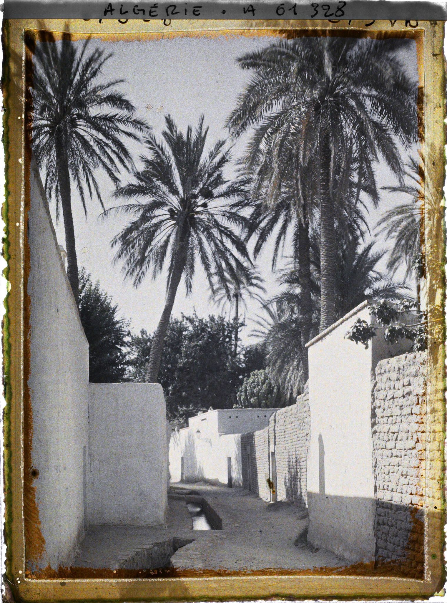 Image représentant La Grande Séghia