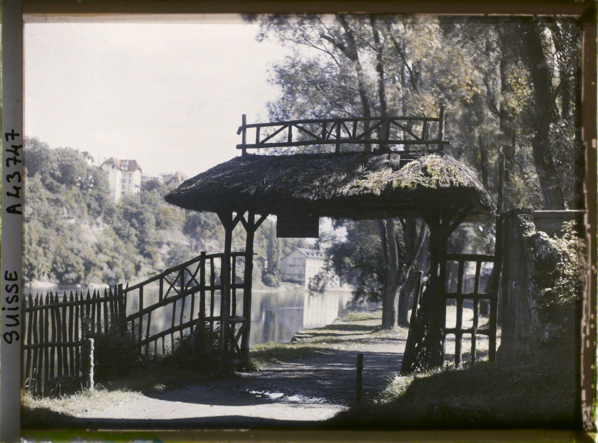 Image représentant Le Rhône et le sentier des Saules