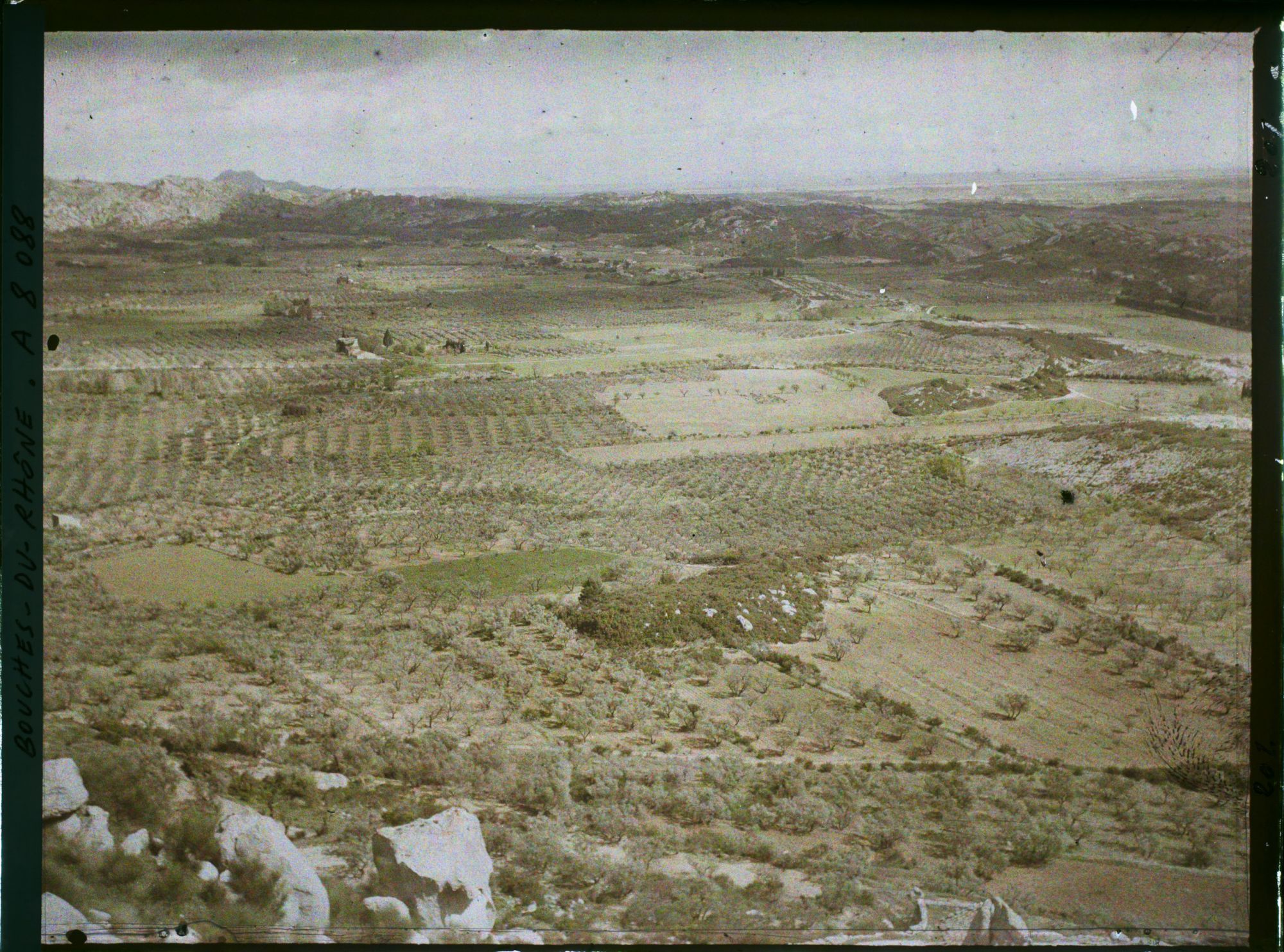 Image représentant Vue sur la plaine et les cultures d'oliviers