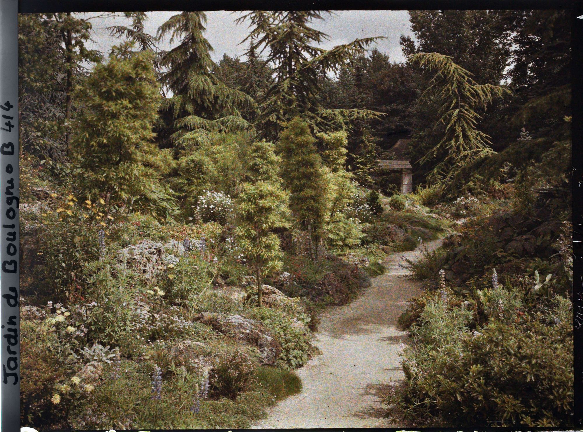 Image représentant Allée du " sanctuaire japonais " bordée d'une rocaille, menant du sôrintô au " village japonais "