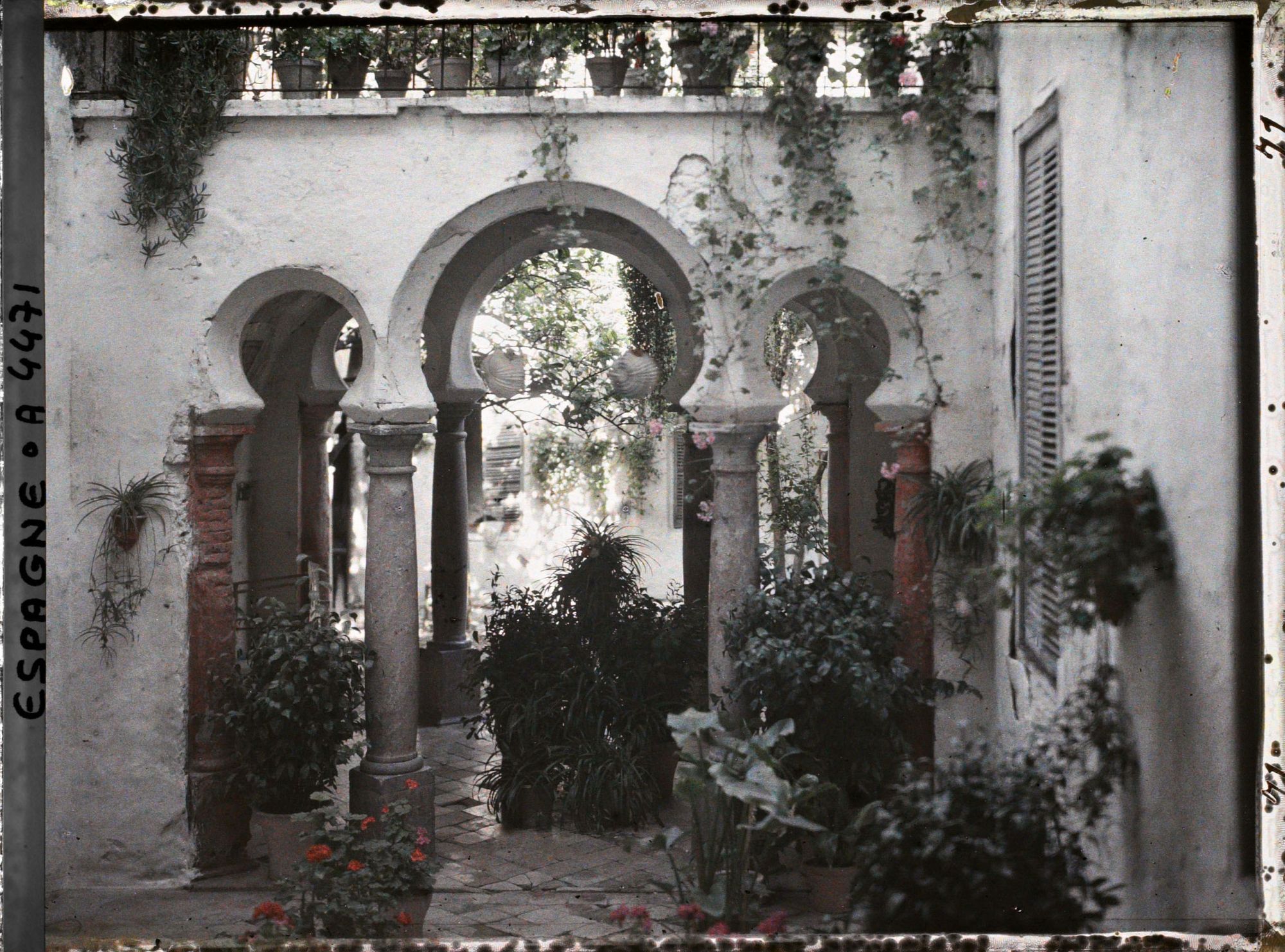 Image représentant Espagne, Cordoue, Un patio (maison particulière)
